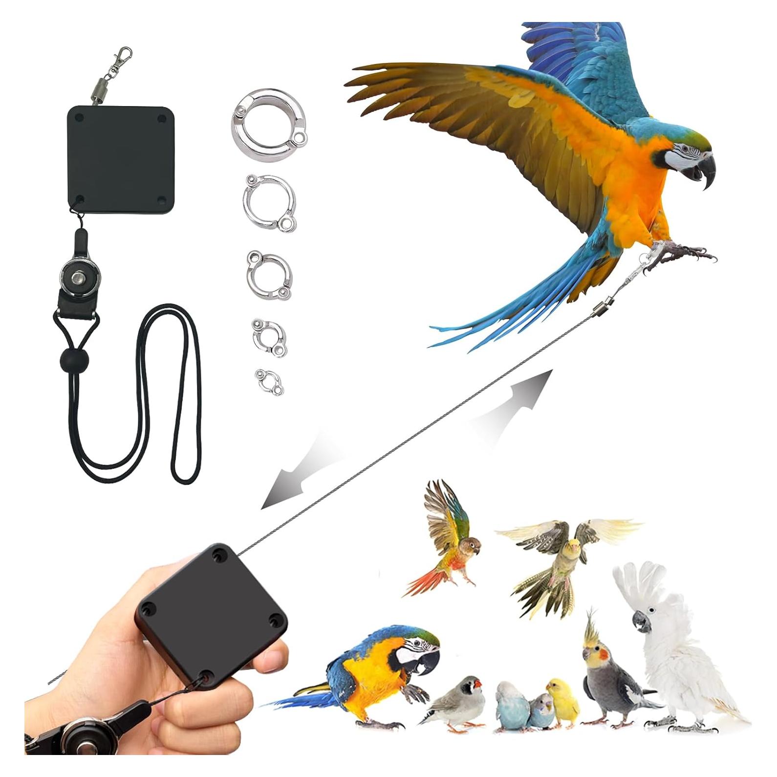 Correa Retráctil para Aves LUKHMELF 6.1m Anti-Mordedura