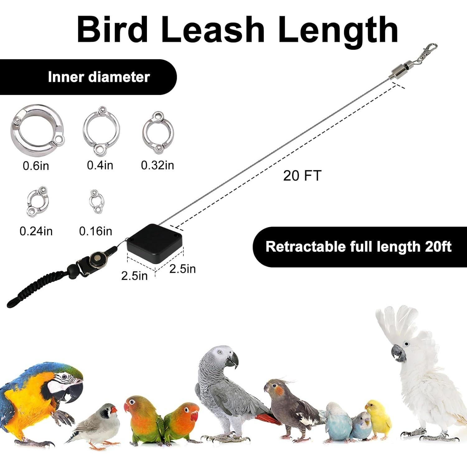 Correa Retráctil para Aves LUKHMELF 6.1m Anti-Mordedura