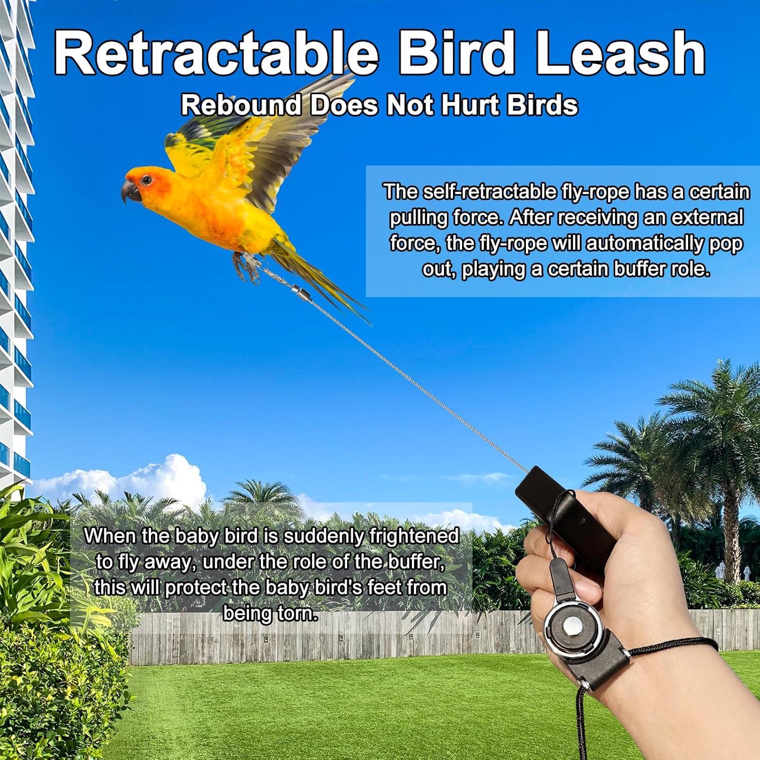 Correa Retráctil para Aves LUKHMELF 6.1m Anti-Mordedura