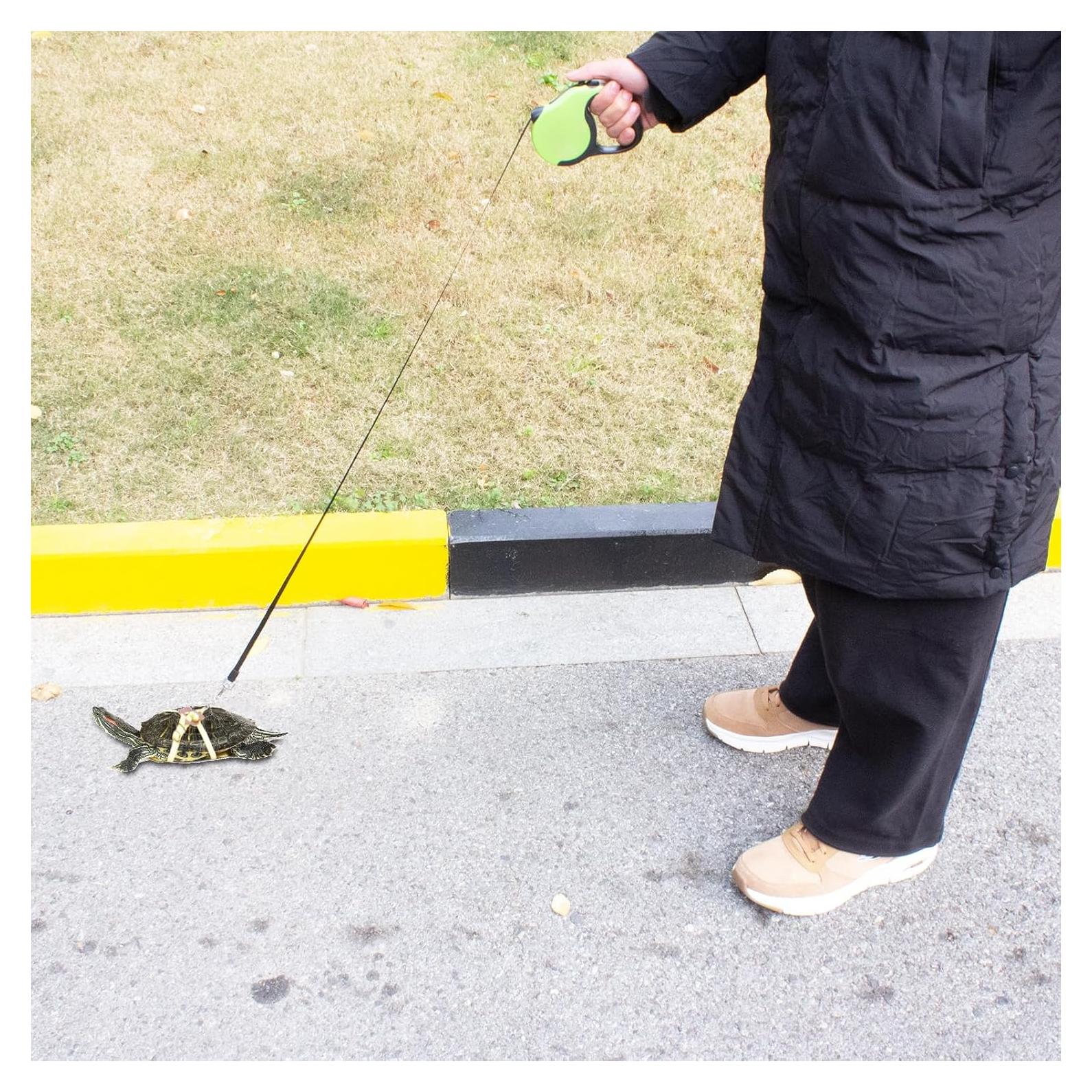 Correa Retráctil para Tortuga OOXYG con Arnés Ajustable