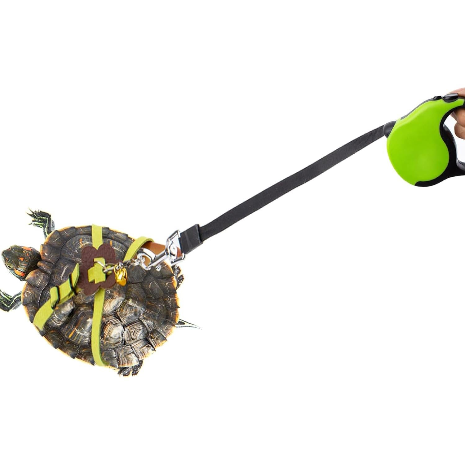 Correa Retráctil para Tortuga OOXYG con Arnés Ajustable