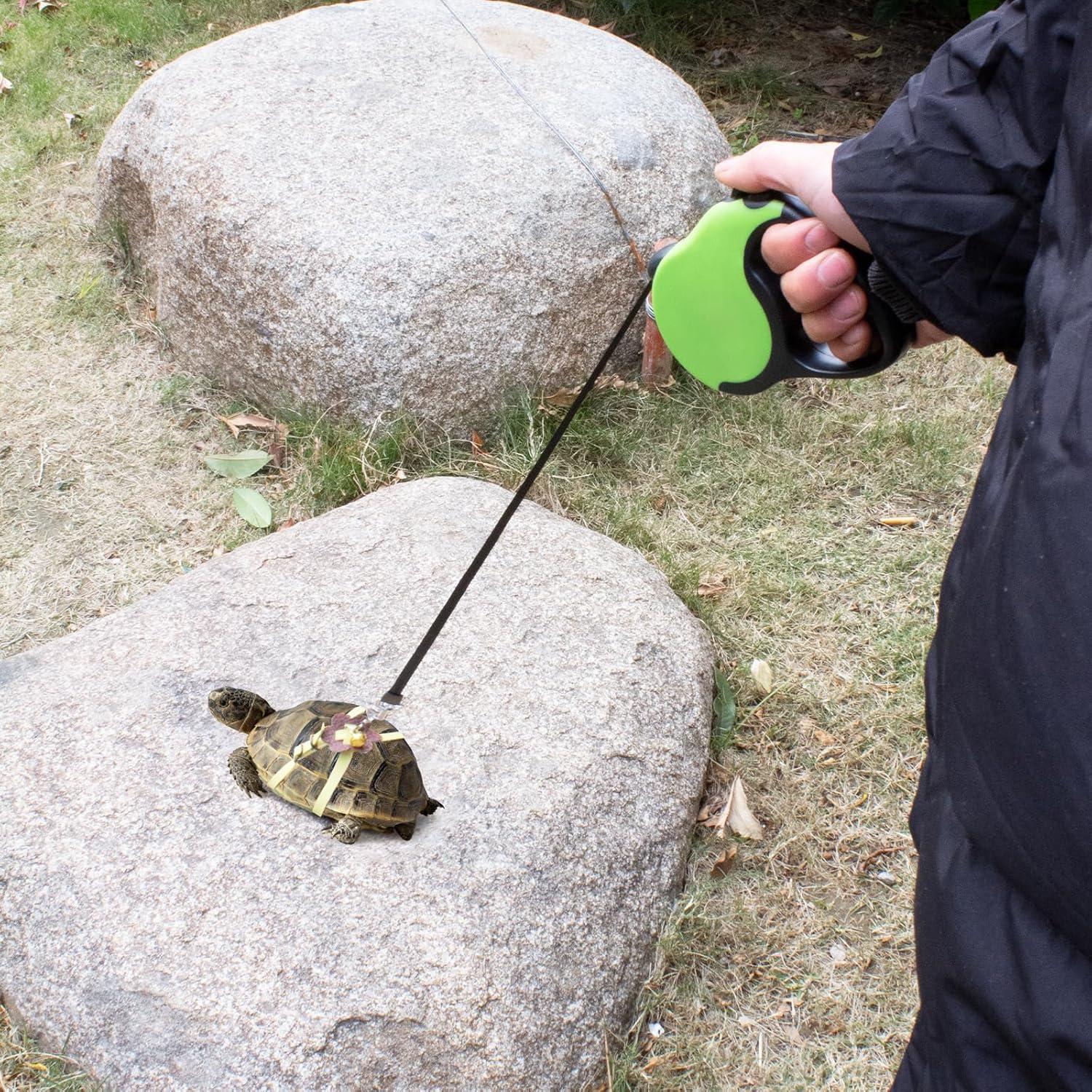 Correa Retráctil para Tortuga OOXYG con Arnés Ajustable