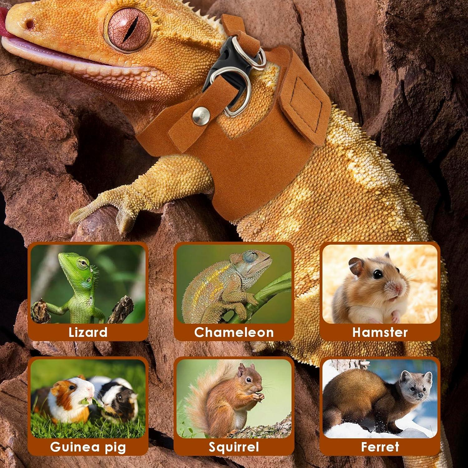 Juego de Arnés y Correa para Dragón Barbudo - 3 Tamaños