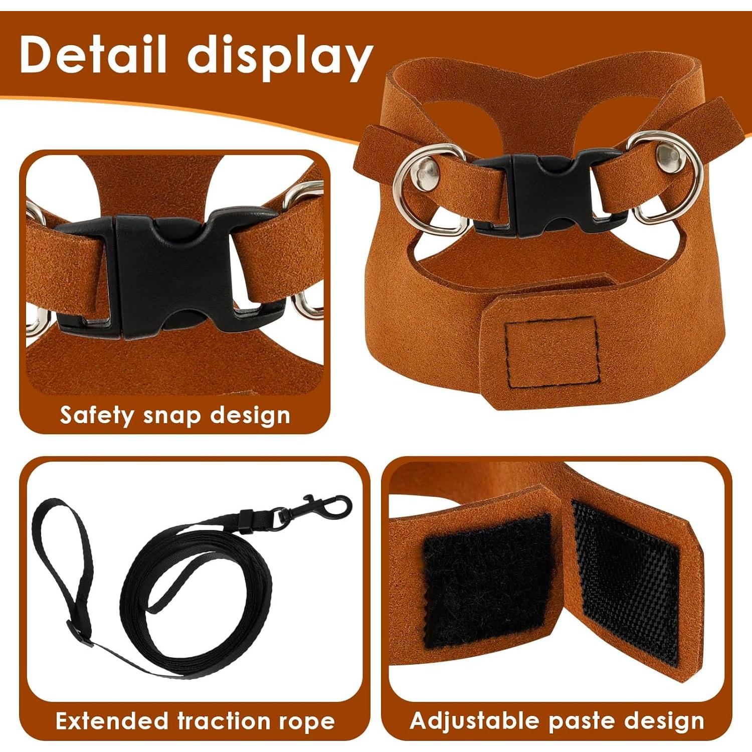 Juego de Arnés y Correa para Dragón Barbudo - 3 Tamaños