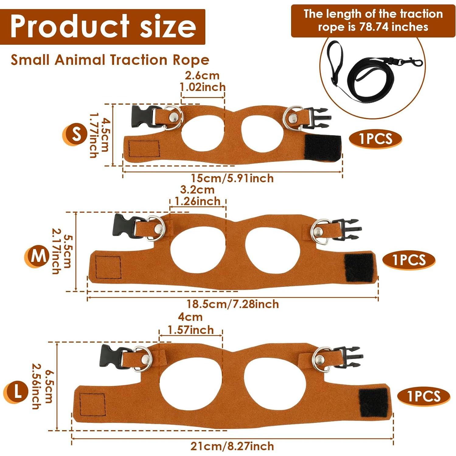 Juego de Arnés y Correa para Dragón Barbudo - 3 Tamaños