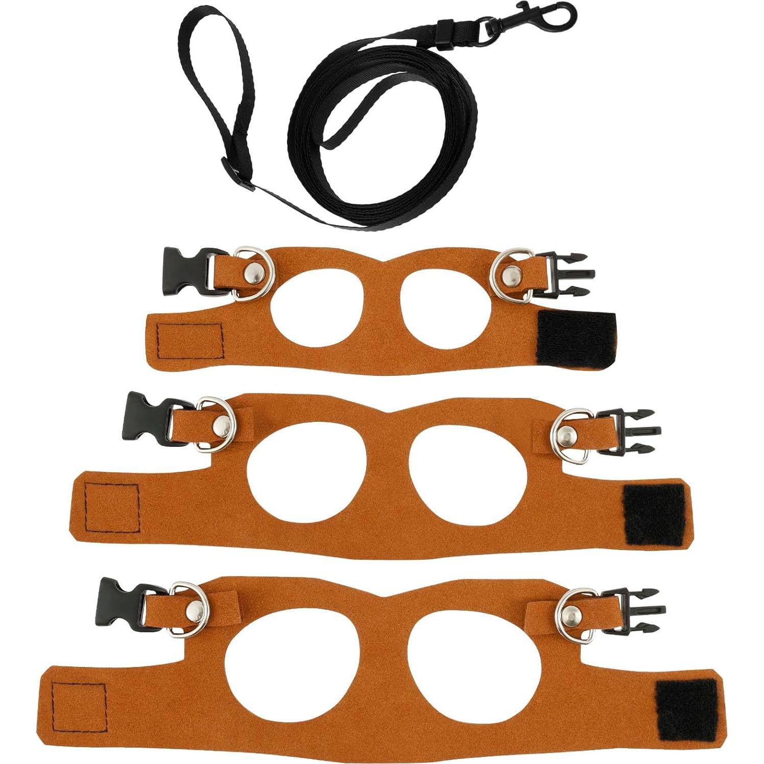 Juego de Arnés y Correa para Dragón Barbudo - 3 Tamaños