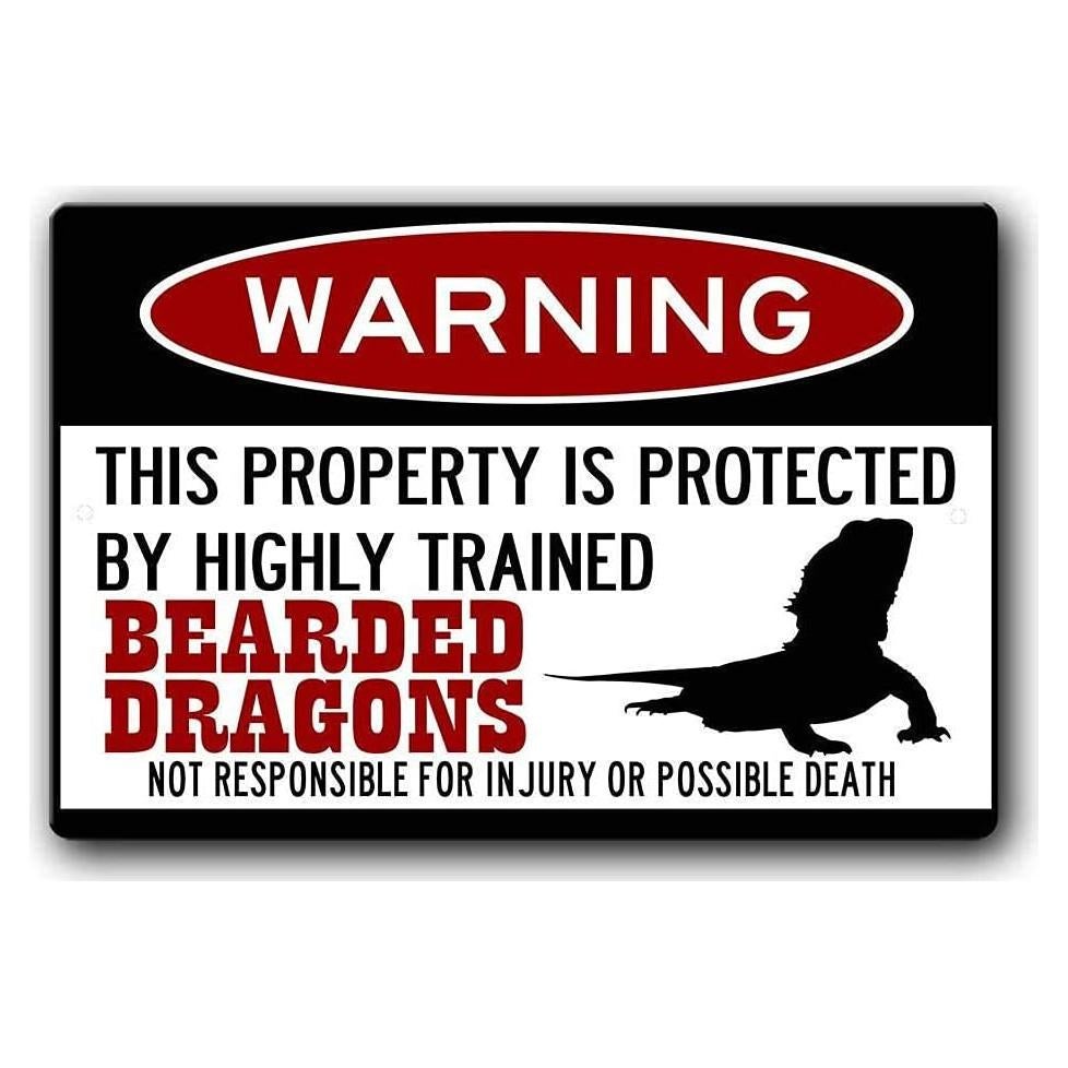 Cartel de Metal Divertido Dragones Barbados 30x20cm Kexle