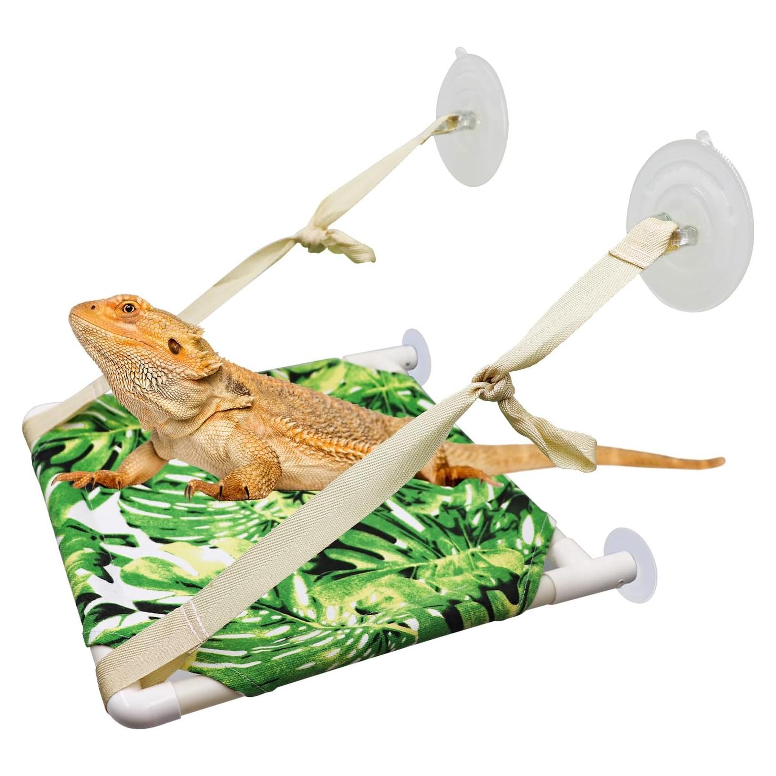 Perch de Ventana Oooct para Lagartos 30.48x27.94cm