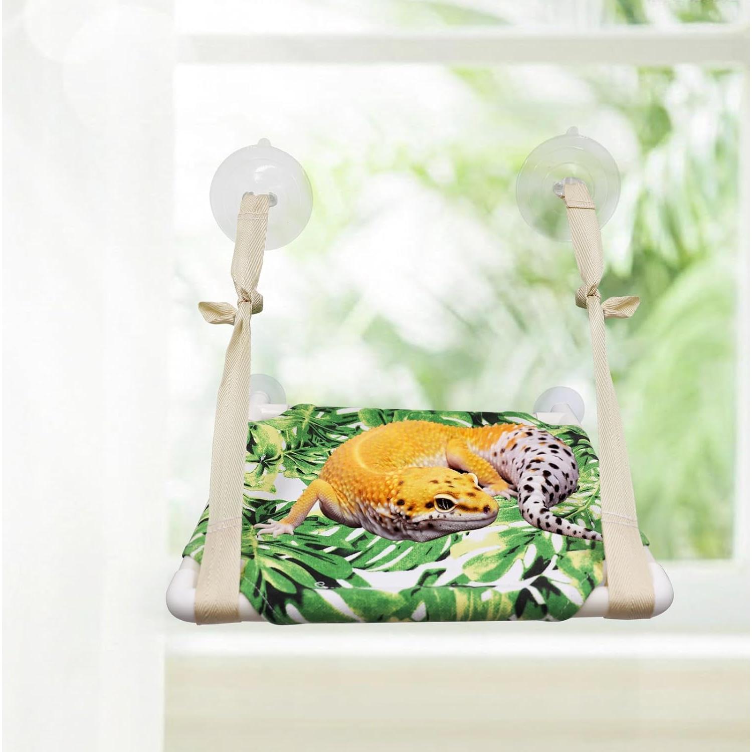 Perch de Ventana Oooct para Lagartos 30.48x27.94cm