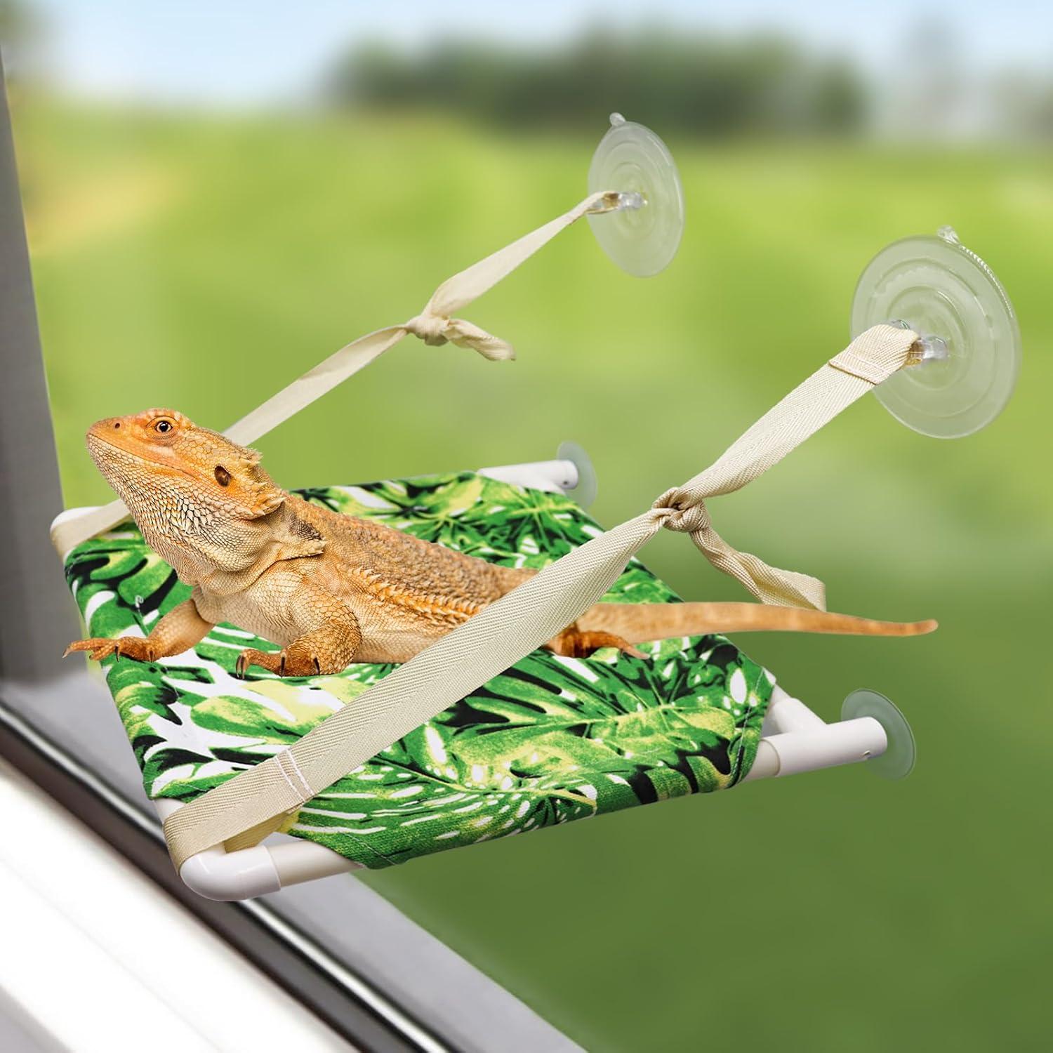 Perch de Ventana Oooct para Lagartos 30.48x27.94cm