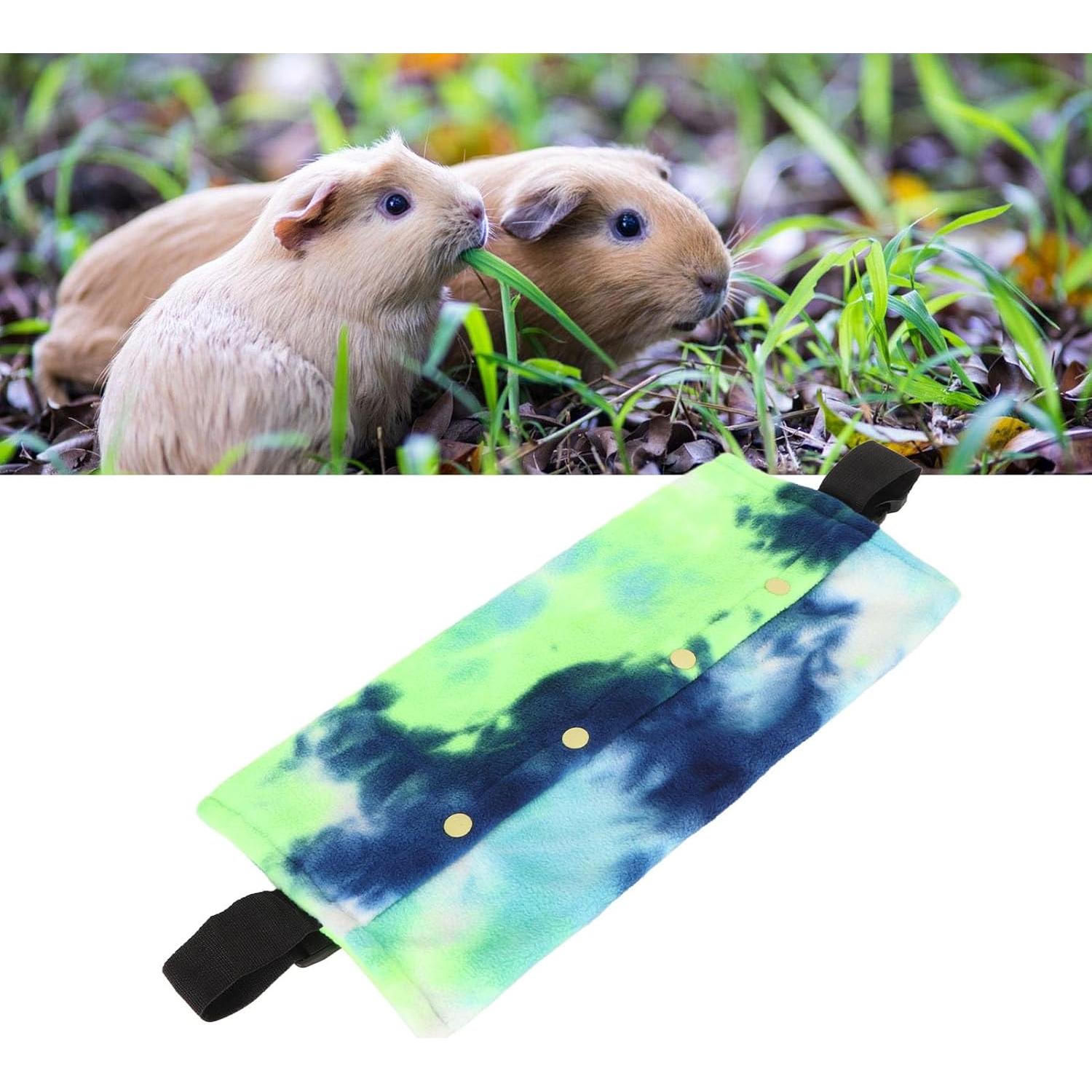 Transportador de Reptiles HEEPDD 43x20cm Verde Azul con Correa Ajustable