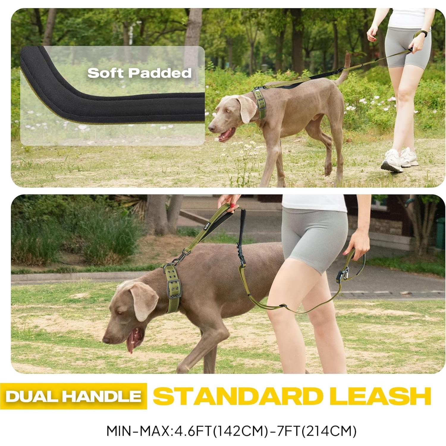 Correa para Perros Fida 6-en-1 Ajustable Verde Resistente