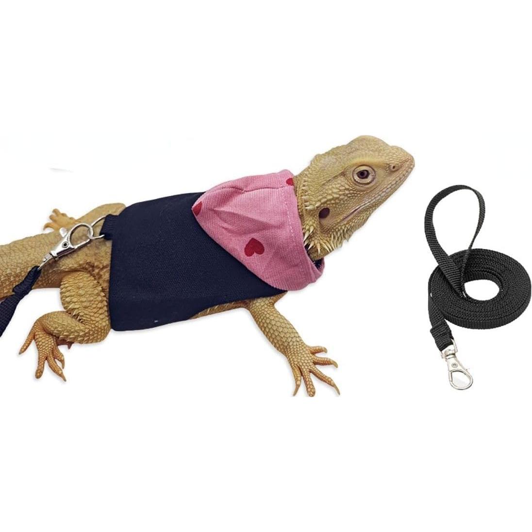 Ropa para Dragón Barbado Copfeu con Correa y Sudadera Negra