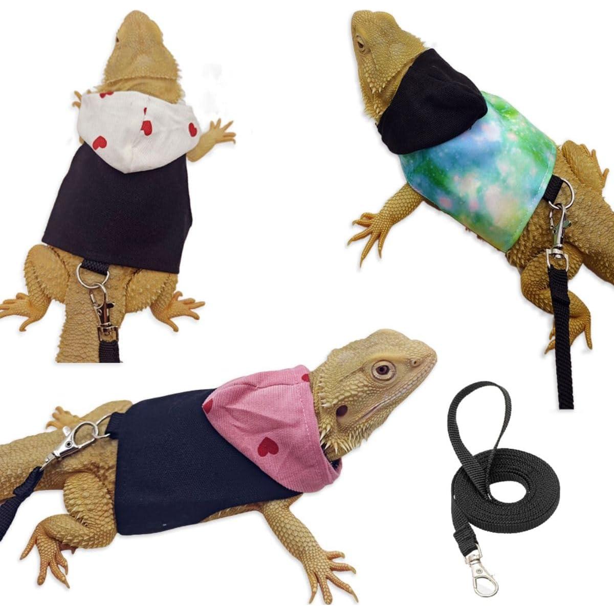 Ropa para Dragón Barbado Copfeu con Correa y Sudadera Negra