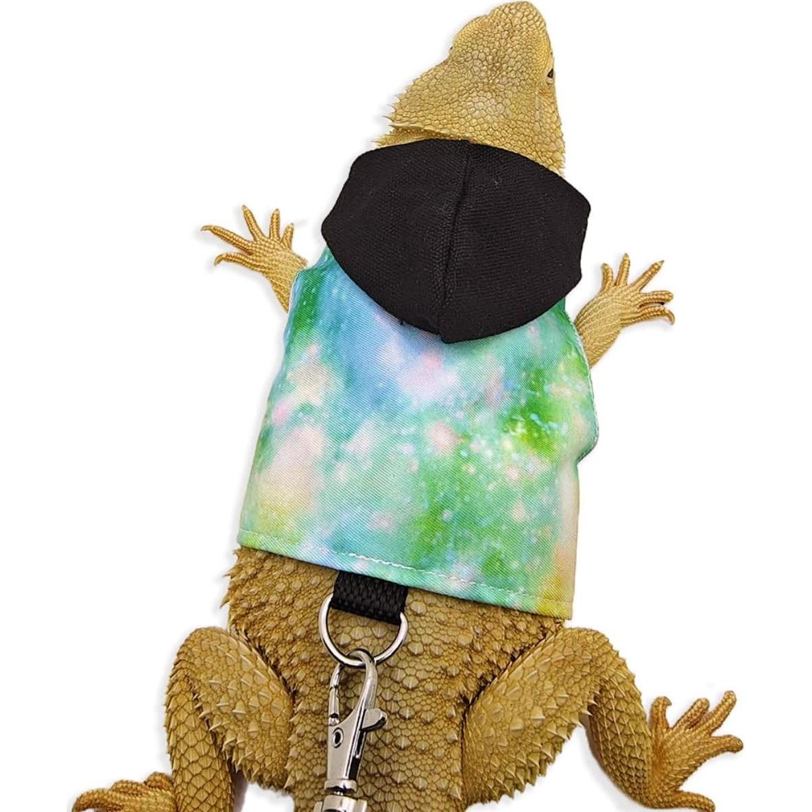 Ropa para Dragón Barbado Copfeu con Correa y Sudadera Negra