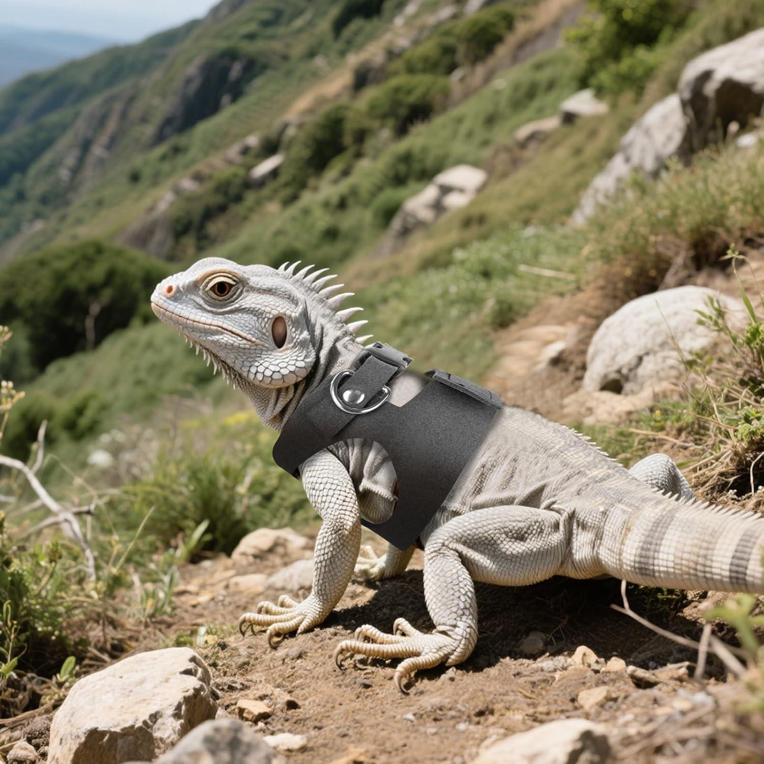 Conjunto de Arnés y Correa Ajustable para Reptiles xieketn