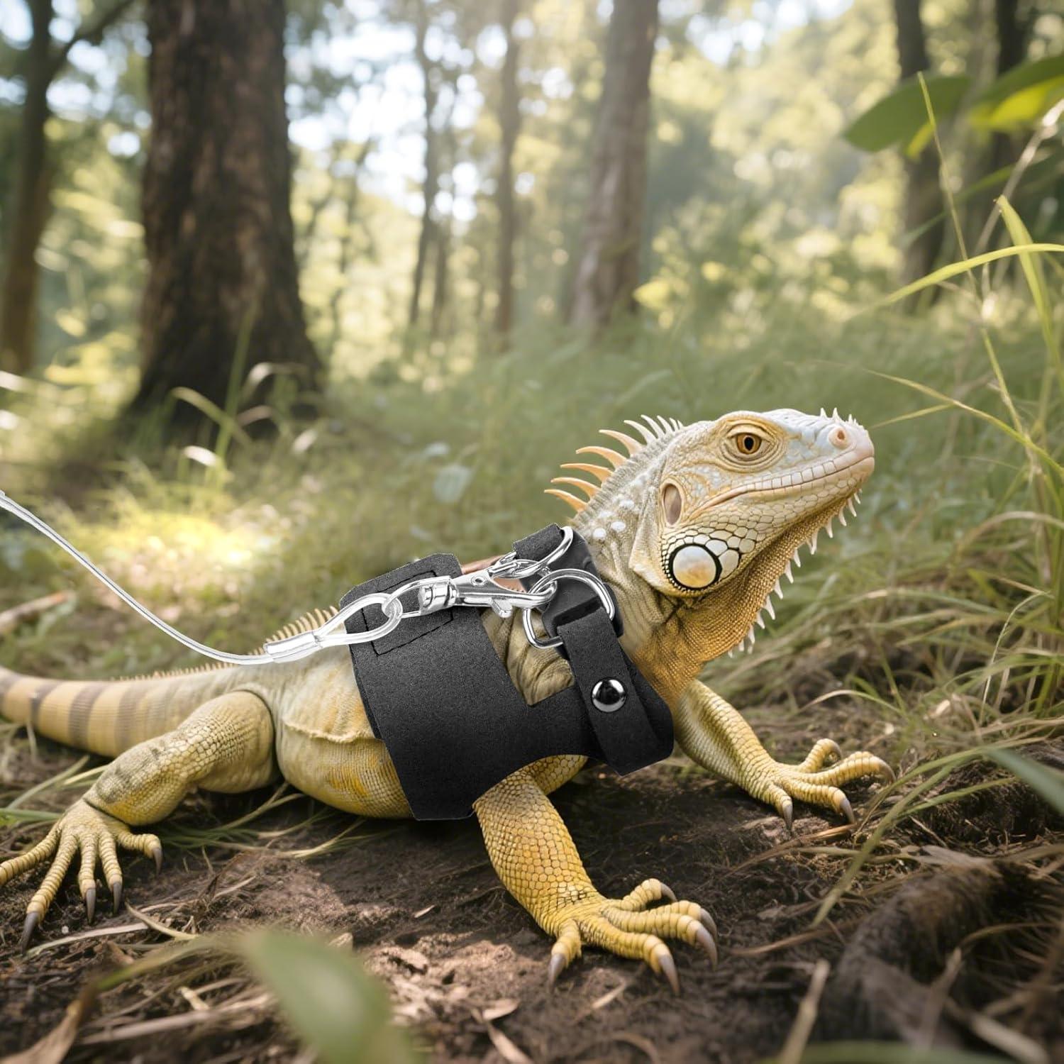 Conjunto de Arnés y Correa Ajustable para Reptiles xieketn