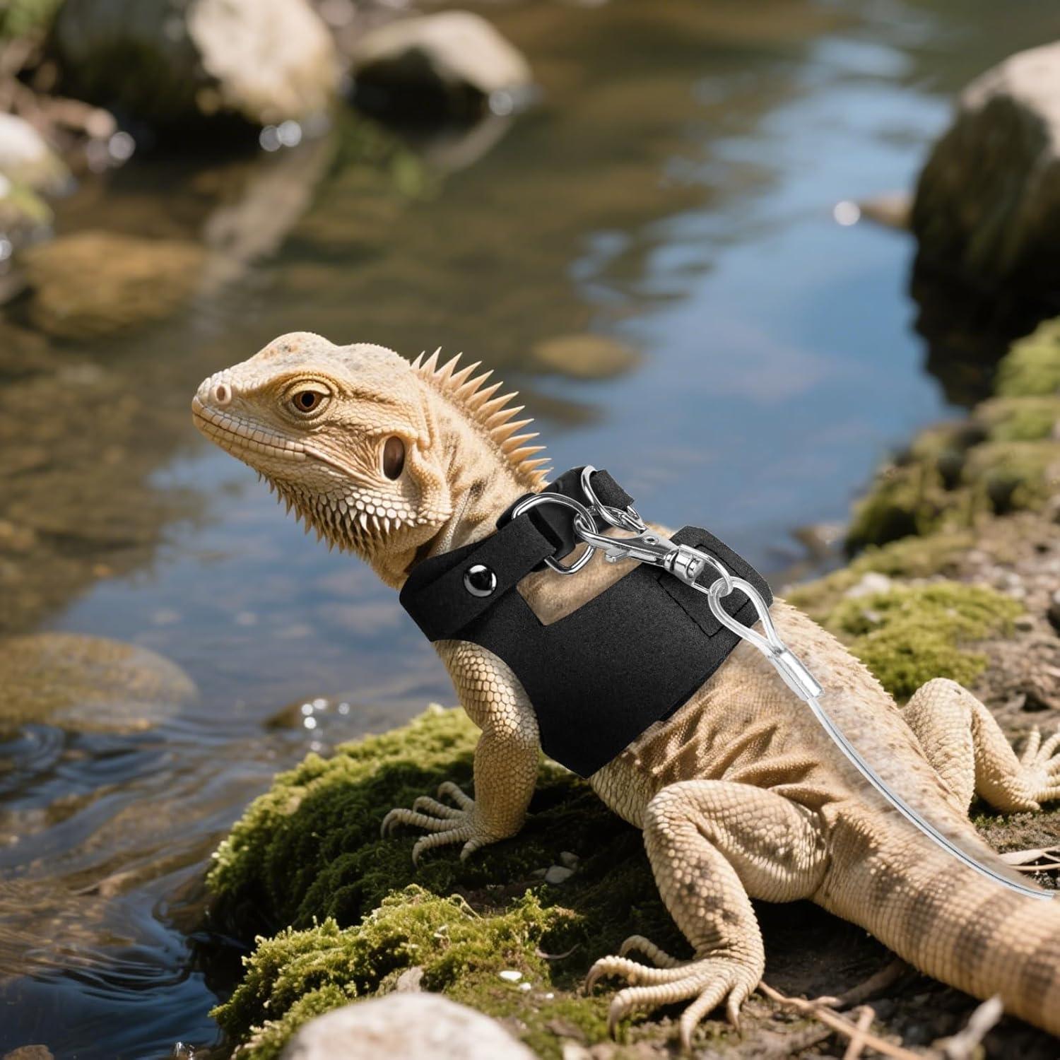 Conjunto de Arnés y Correa Ajustable para Reptiles xieketn