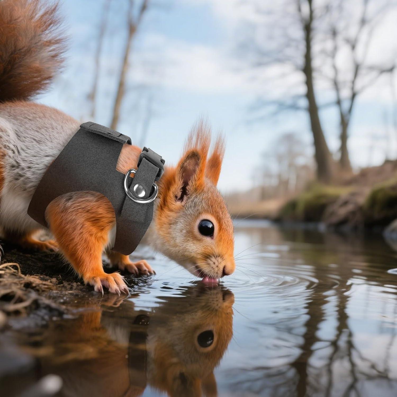 Conjunto de Arnés y Correa Ajustable para Reptiles xieketn