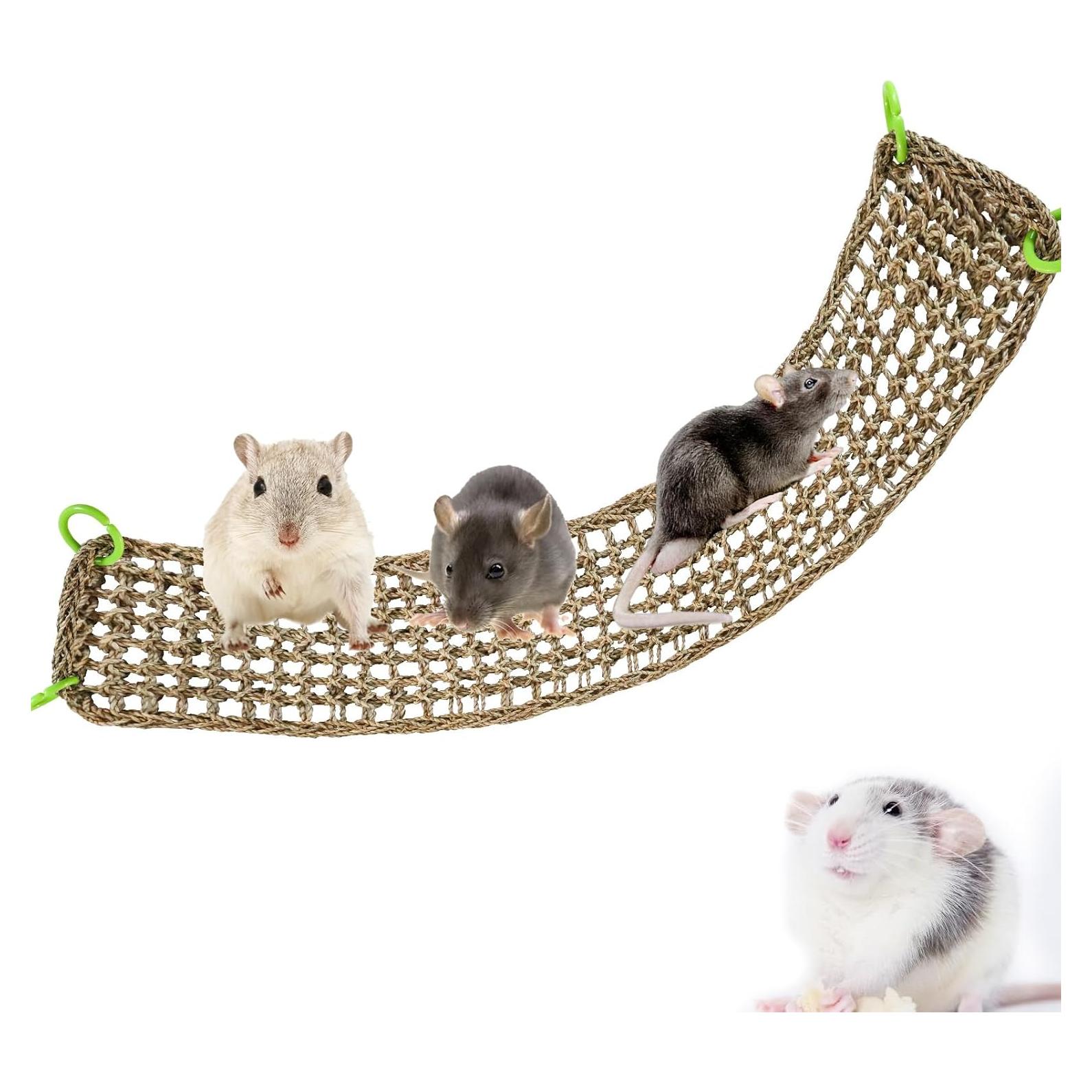 Alfombrilla de Hierba Marina Dnoifne 100 x 18 cm para Animales