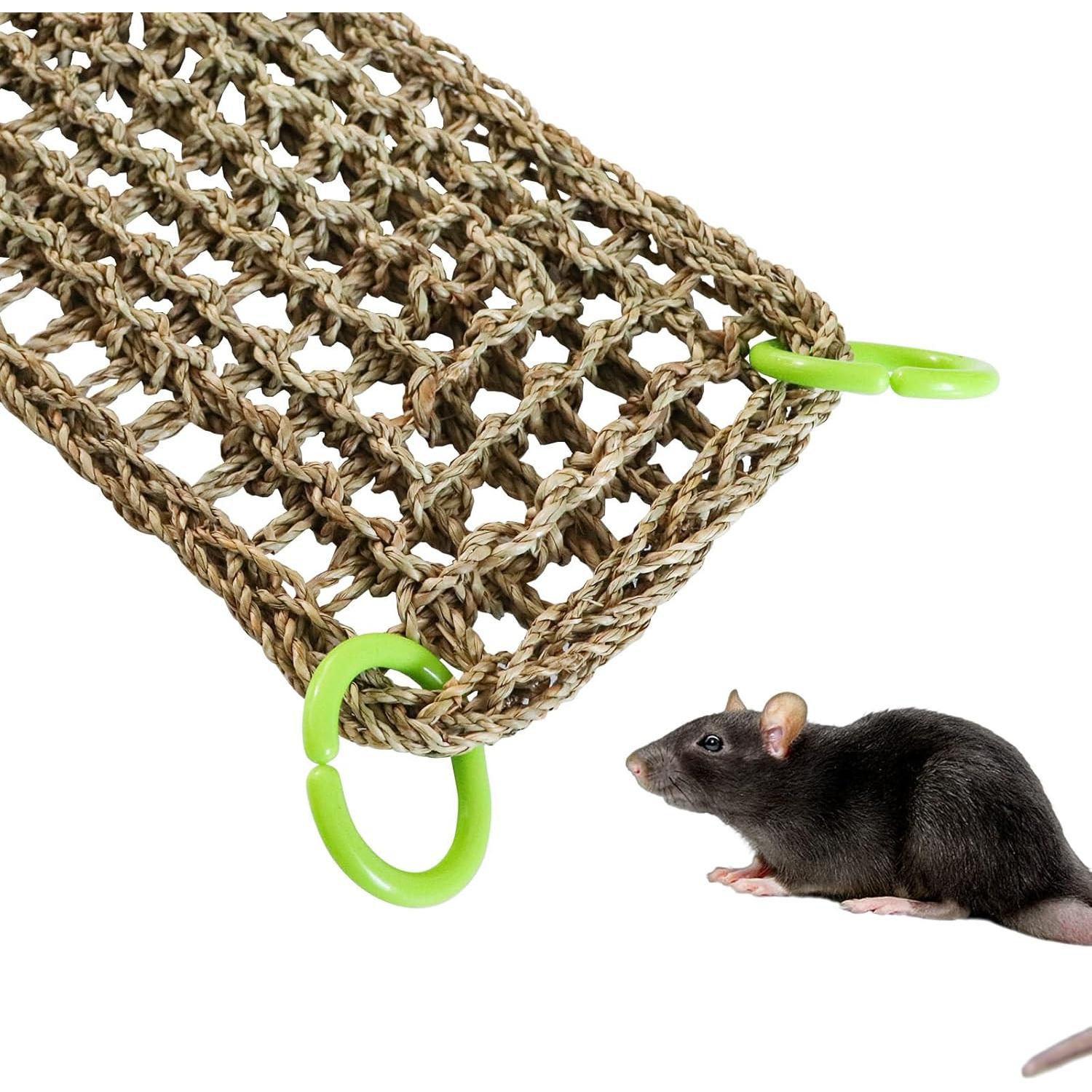 Alfombrilla de Hierba Marina Dnoifne 100 x 18 cm para Animales