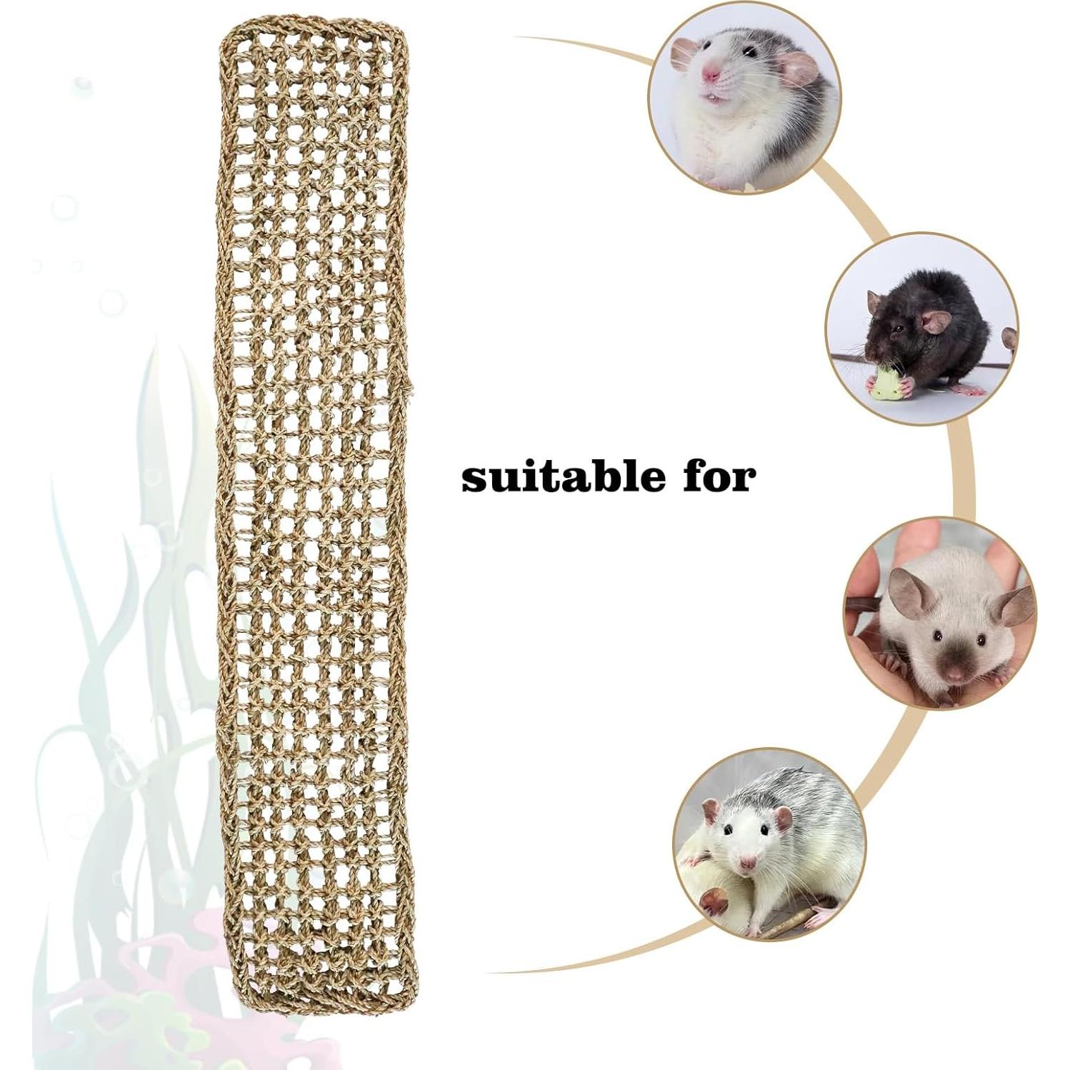 Alfombrilla de Hierba Marina Dnoifne 100 x 18 cm para Animales