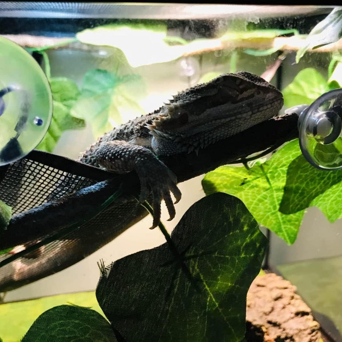 Hamaca para Reptiles Zhuohai 2 Pcs Malla Transpirable Negra