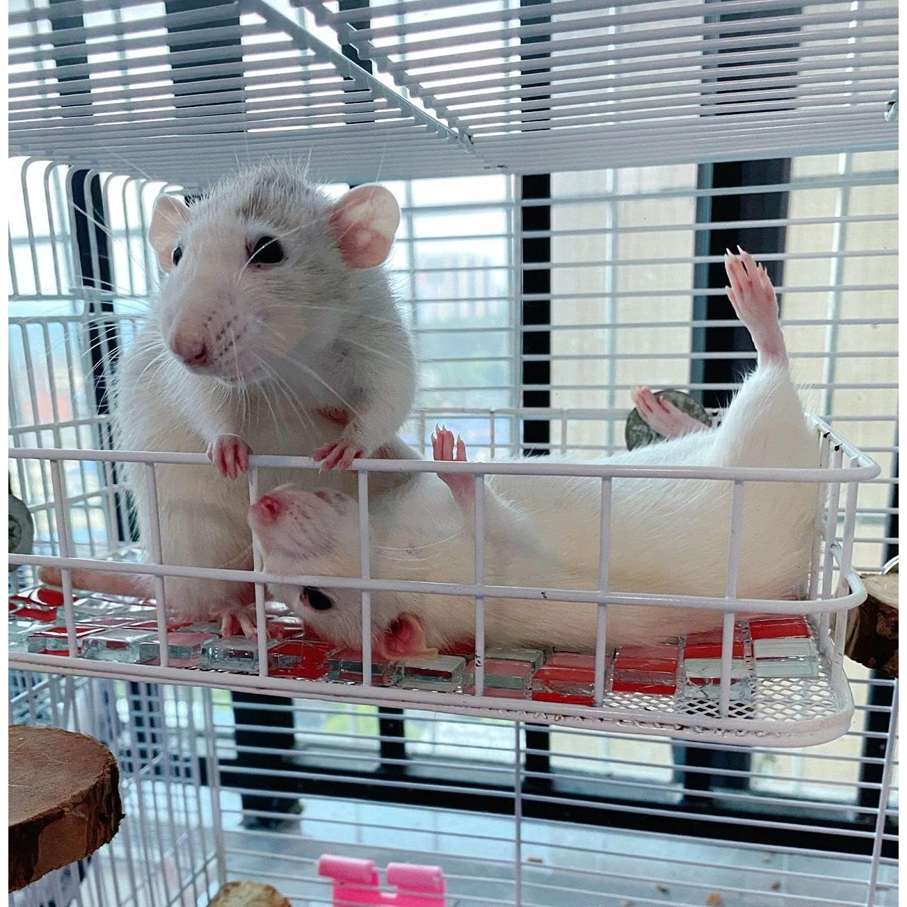 Plataforma para jaula de mascotas WOLEDOE 24.9x16cm Metal Blanco