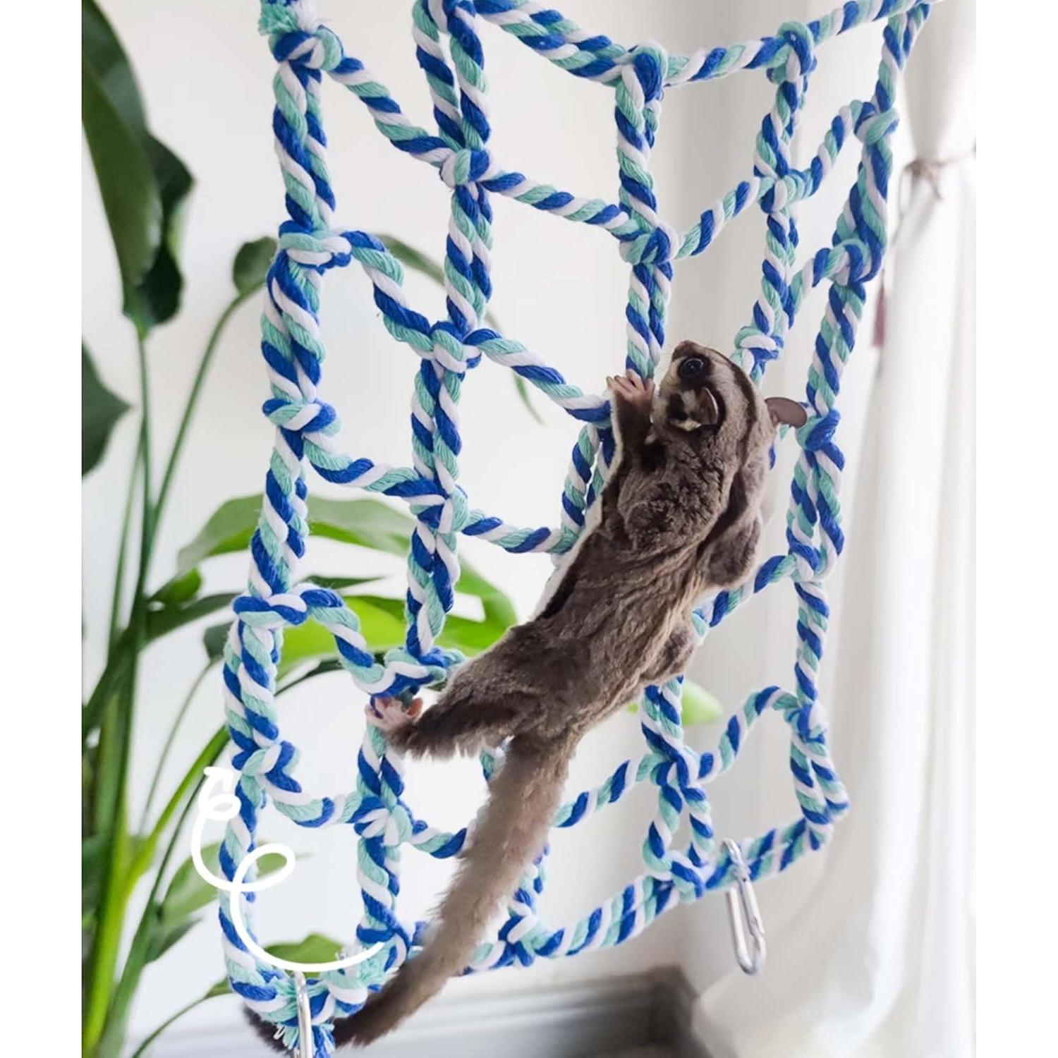 Conjunto de Juguetes para Hurones FLAdorepet - 5 Piezas de Madera