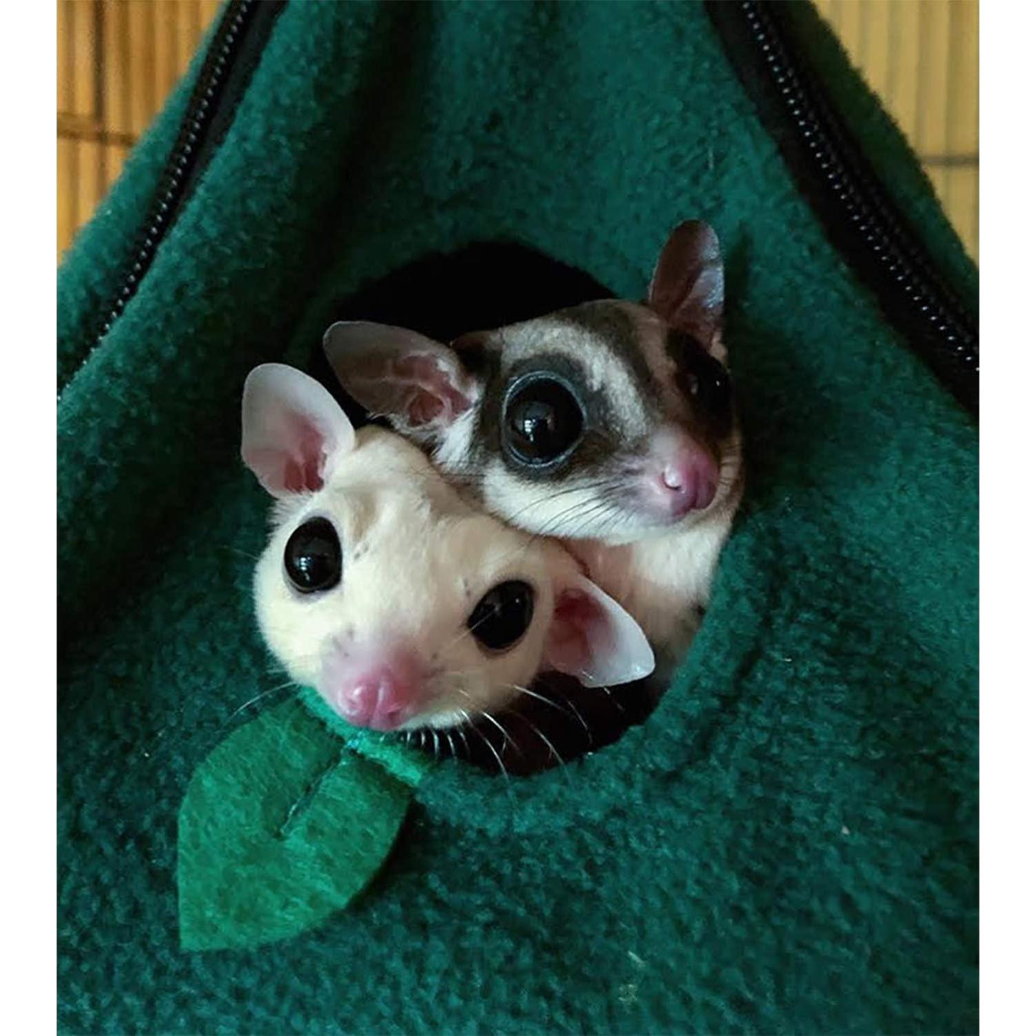 Hamaca para Gliders y Pequeñas Mascotas Nutrición Exótica - Verde