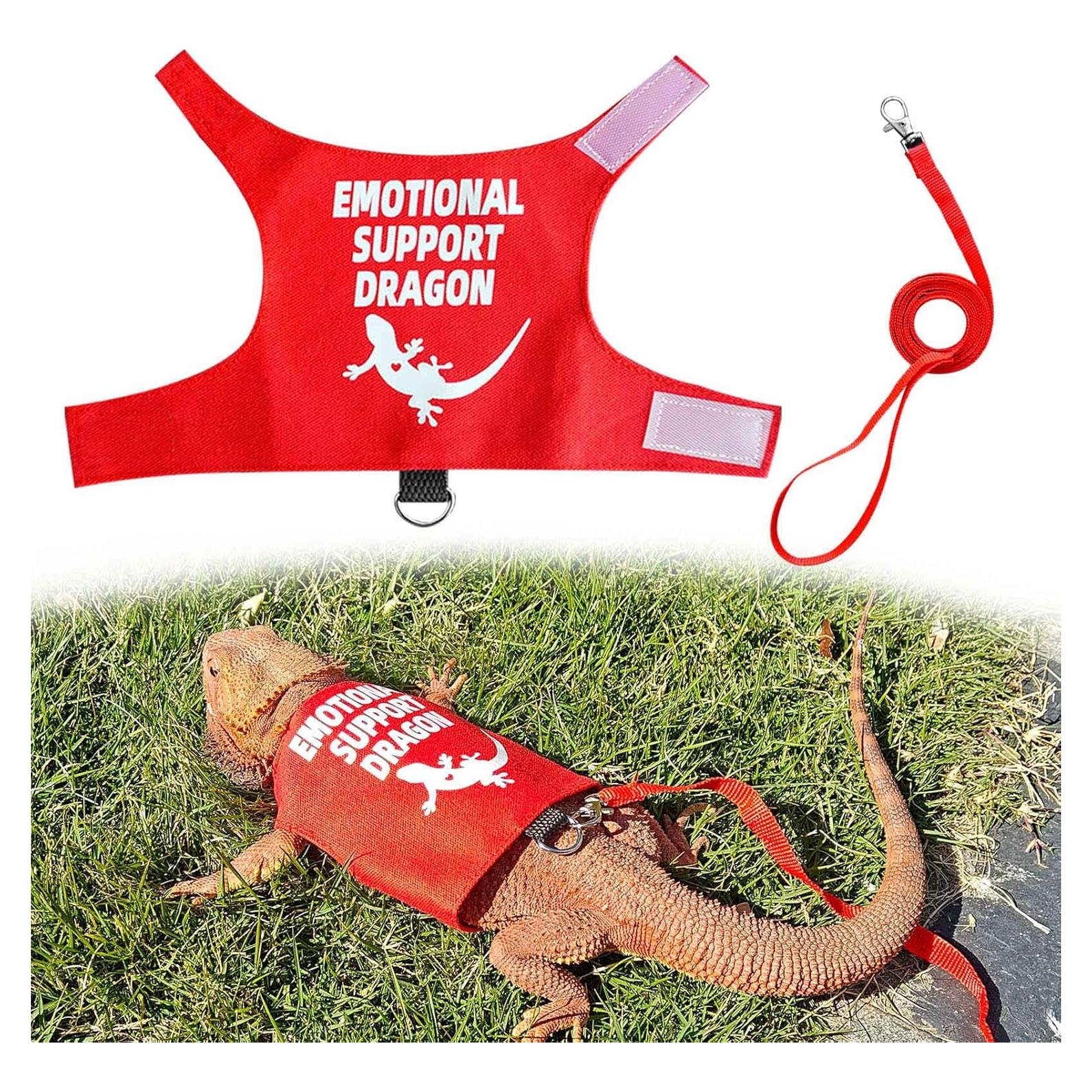 Arnés y Correa para Dragón Barbudo Romansk - Ajustable 1.5m