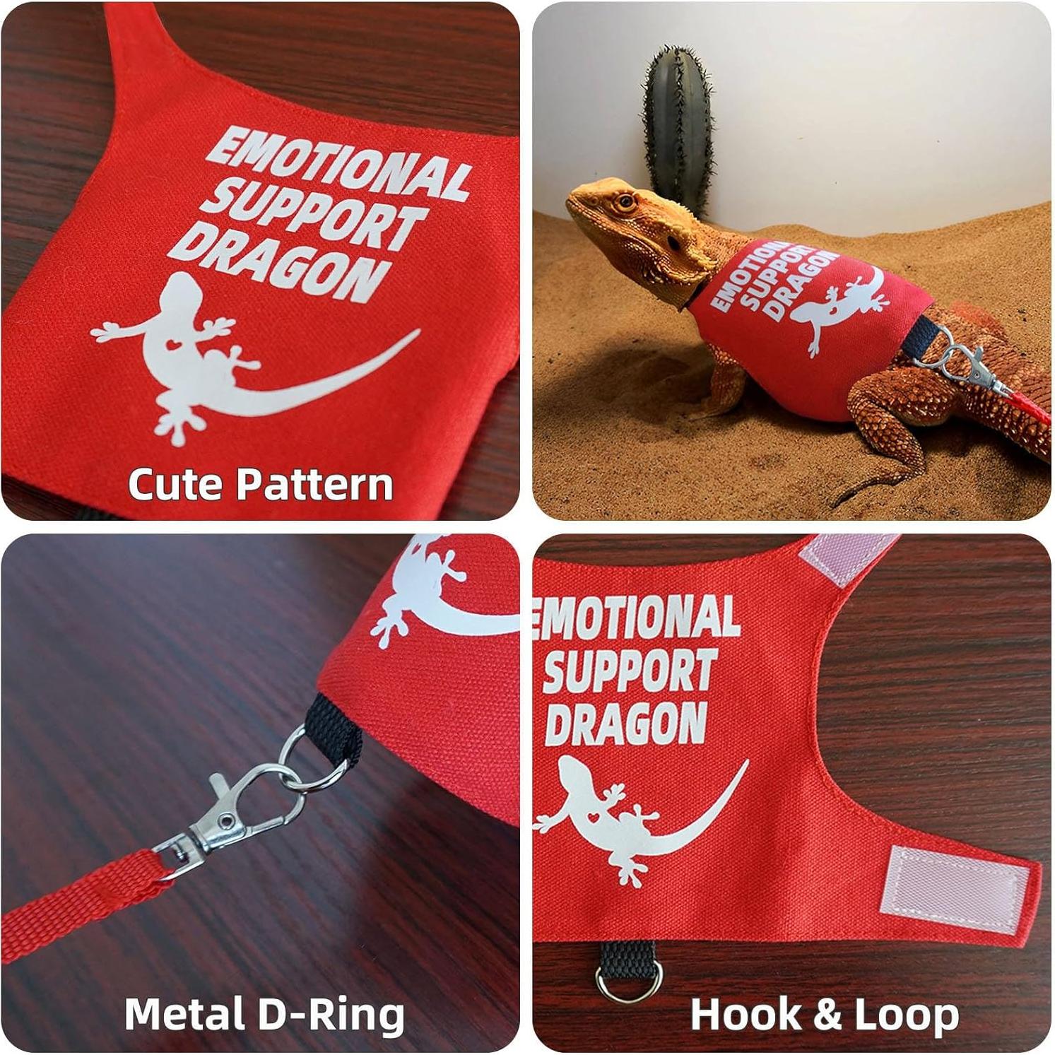 Arnés y Correa para Dragón Barbudo Romansk - Ajustable 1.5m