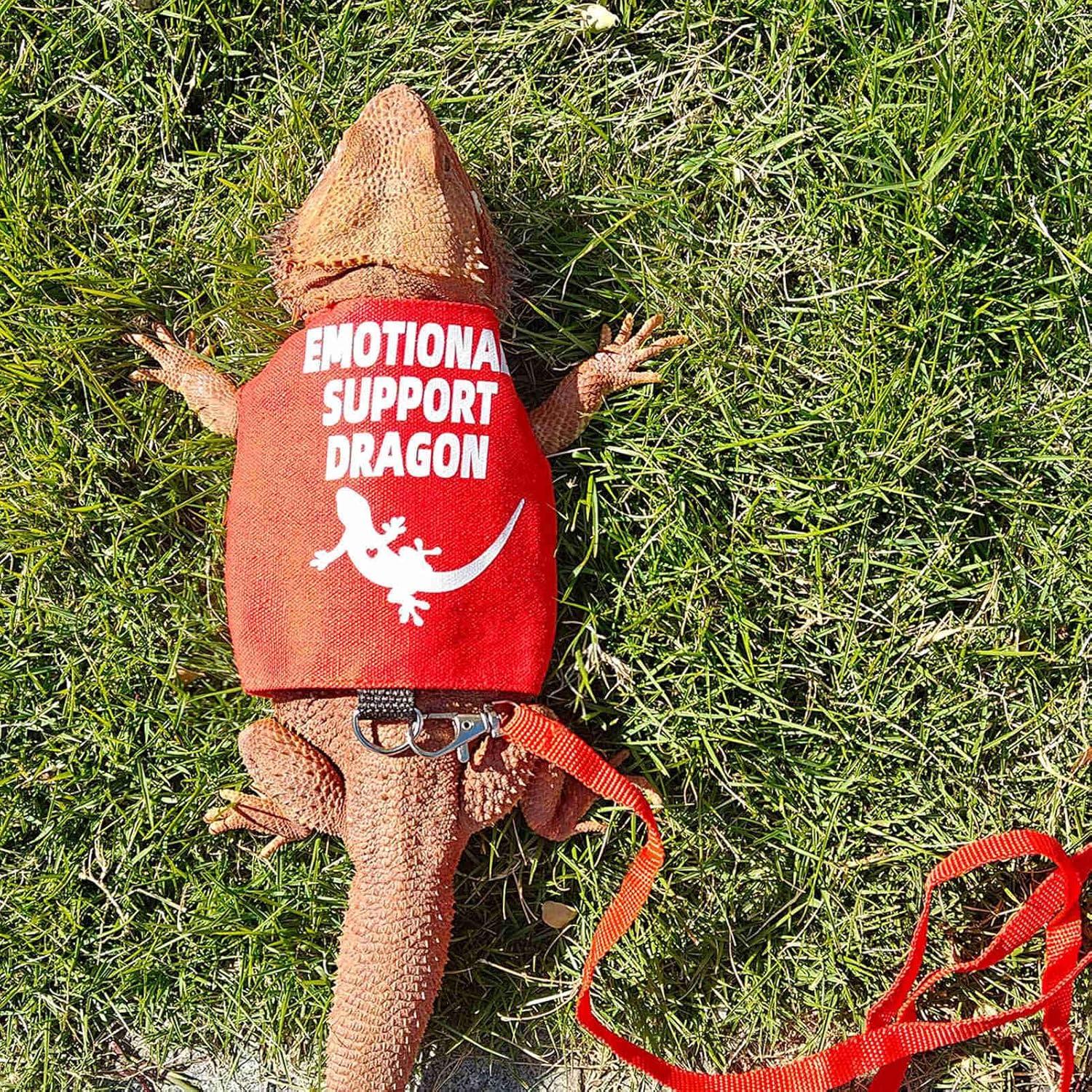 Arnés y Correa para Dragón Barbudo Romansk - Ajustable 1.5m