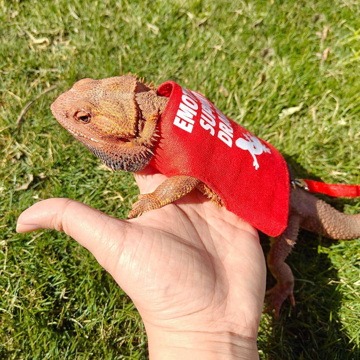 Arnés y Correa para Dragón Barbudo Romansk - Ajustable 1.5m