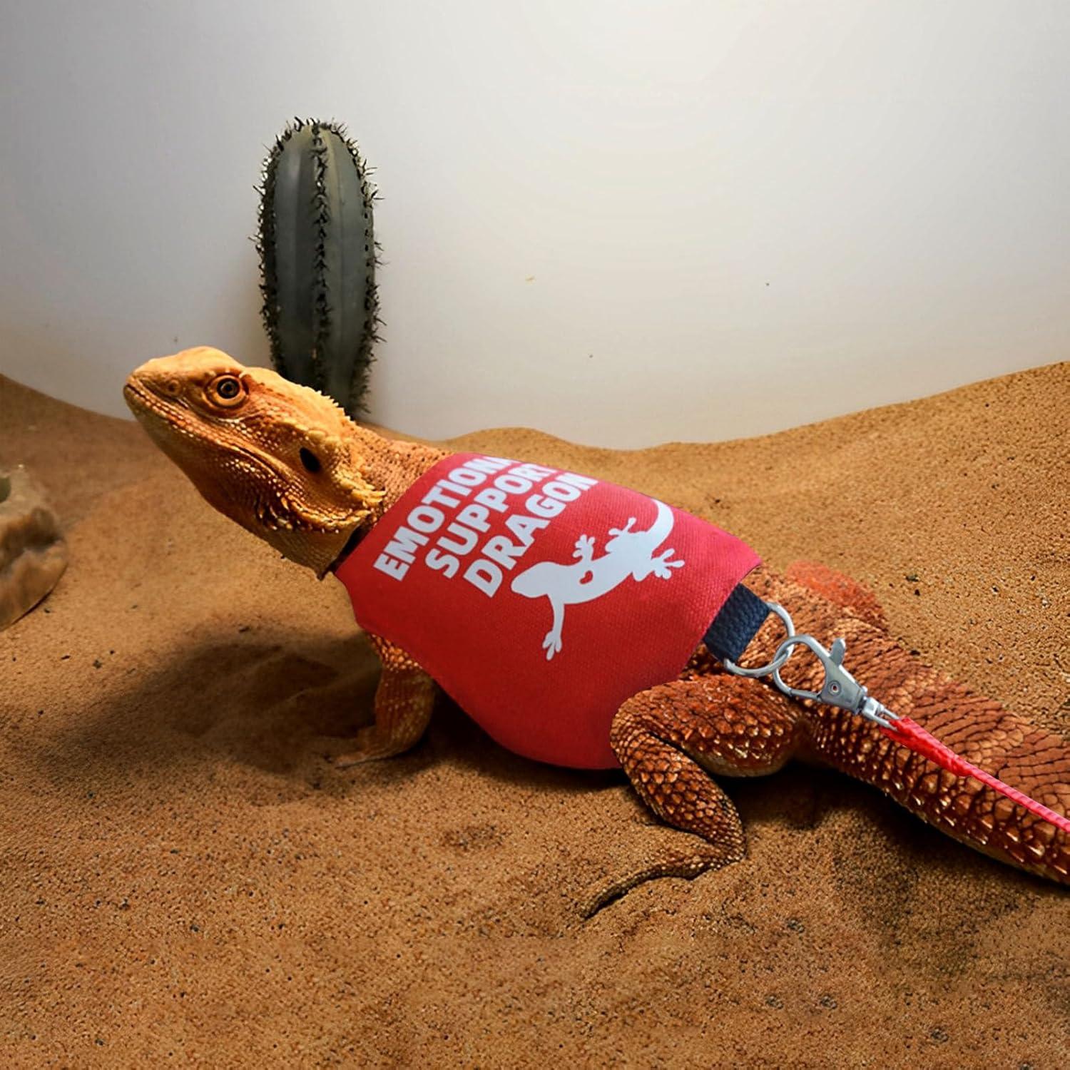 Arnés y Correa para Dragón Barbudo Romansk - Ajustable 1.5m