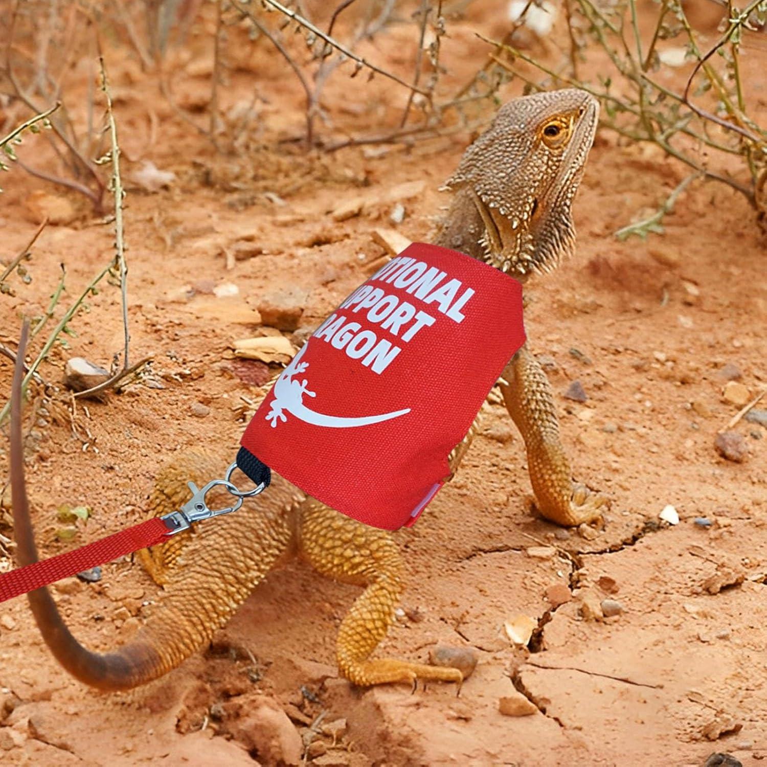 Arnés y Correa para Dragón Barbudo Romansk - Ajustable 1.5m