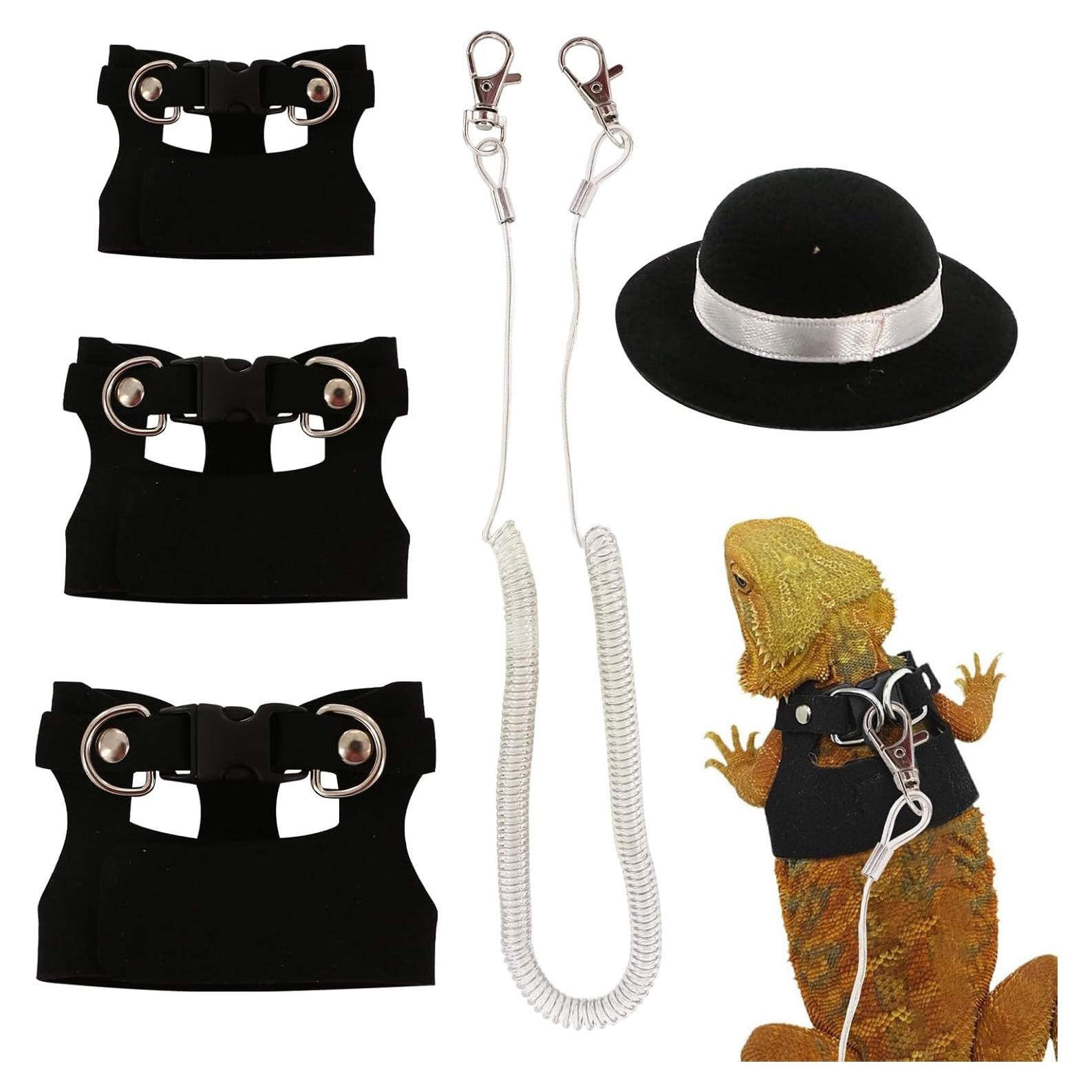 Conjunto Correa y Arnés Dragón Barbudo KURTOPLLY 3 Tamaños