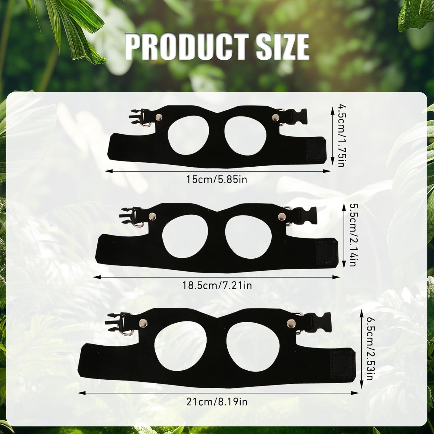 Conjunto Correa y Arnés Dragón Barbudo KURTOPLLY 3 Tamaños