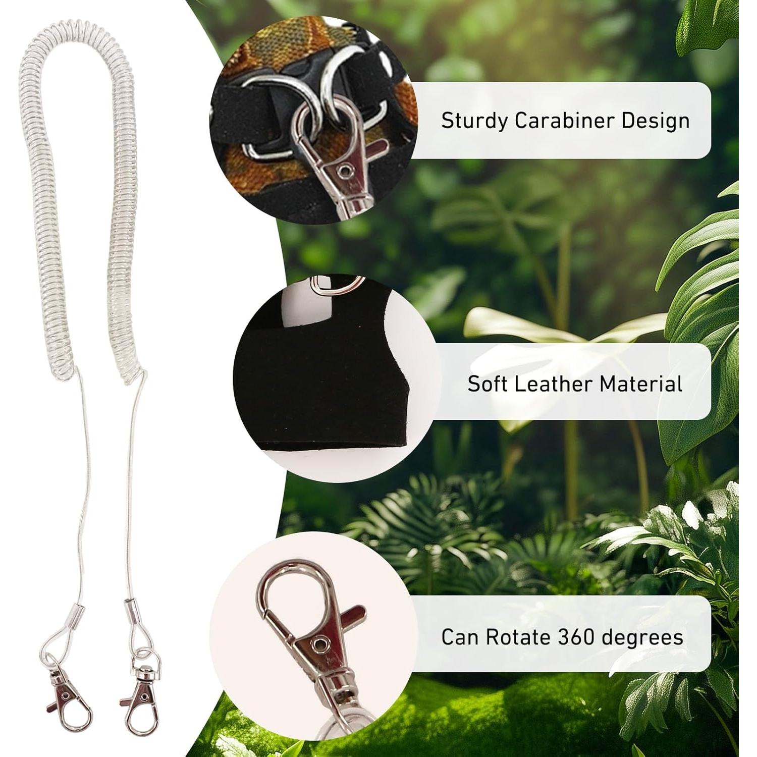 Conjunto Correa y Arnés Dragón Barbudo KURTOPLLY 3 Tamaños