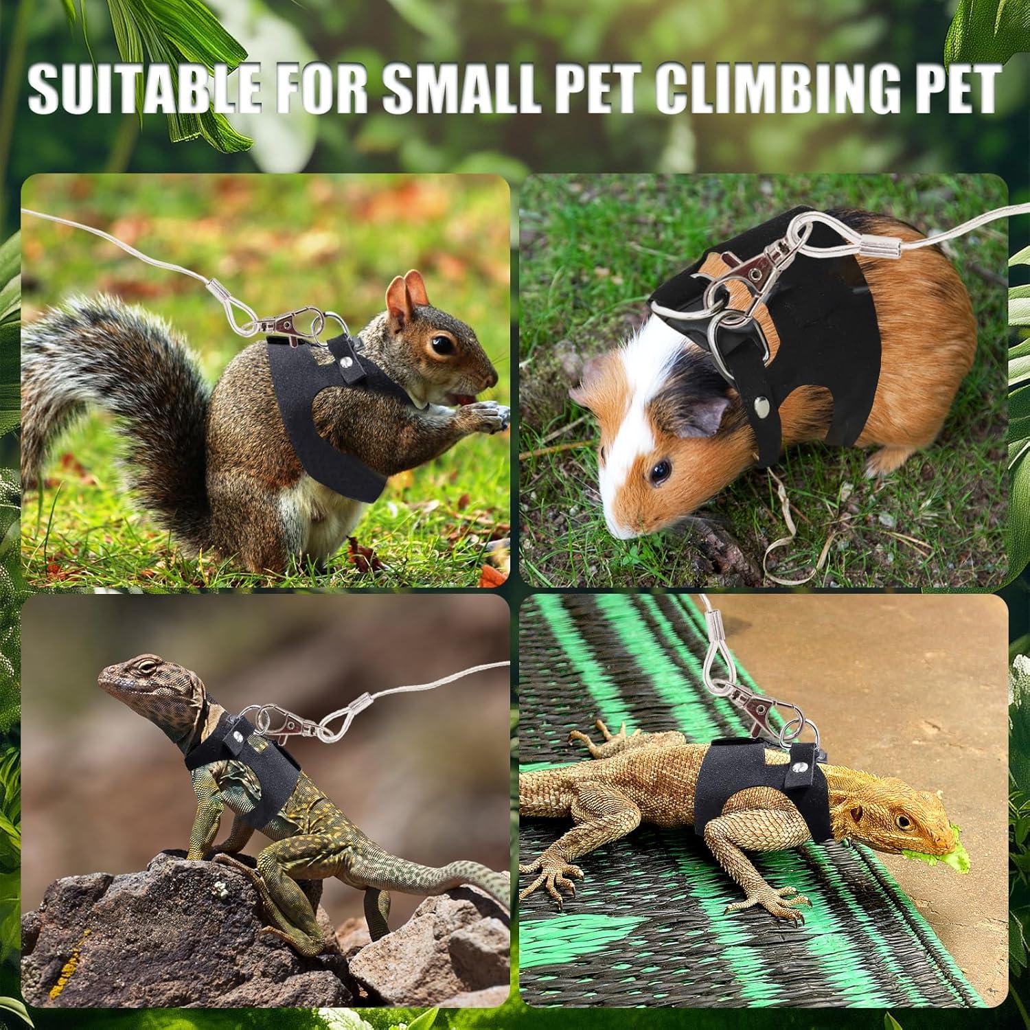 Conjunto Correa y Arnés Dragón Barbudo KURTOPLLY 3 Tamaños