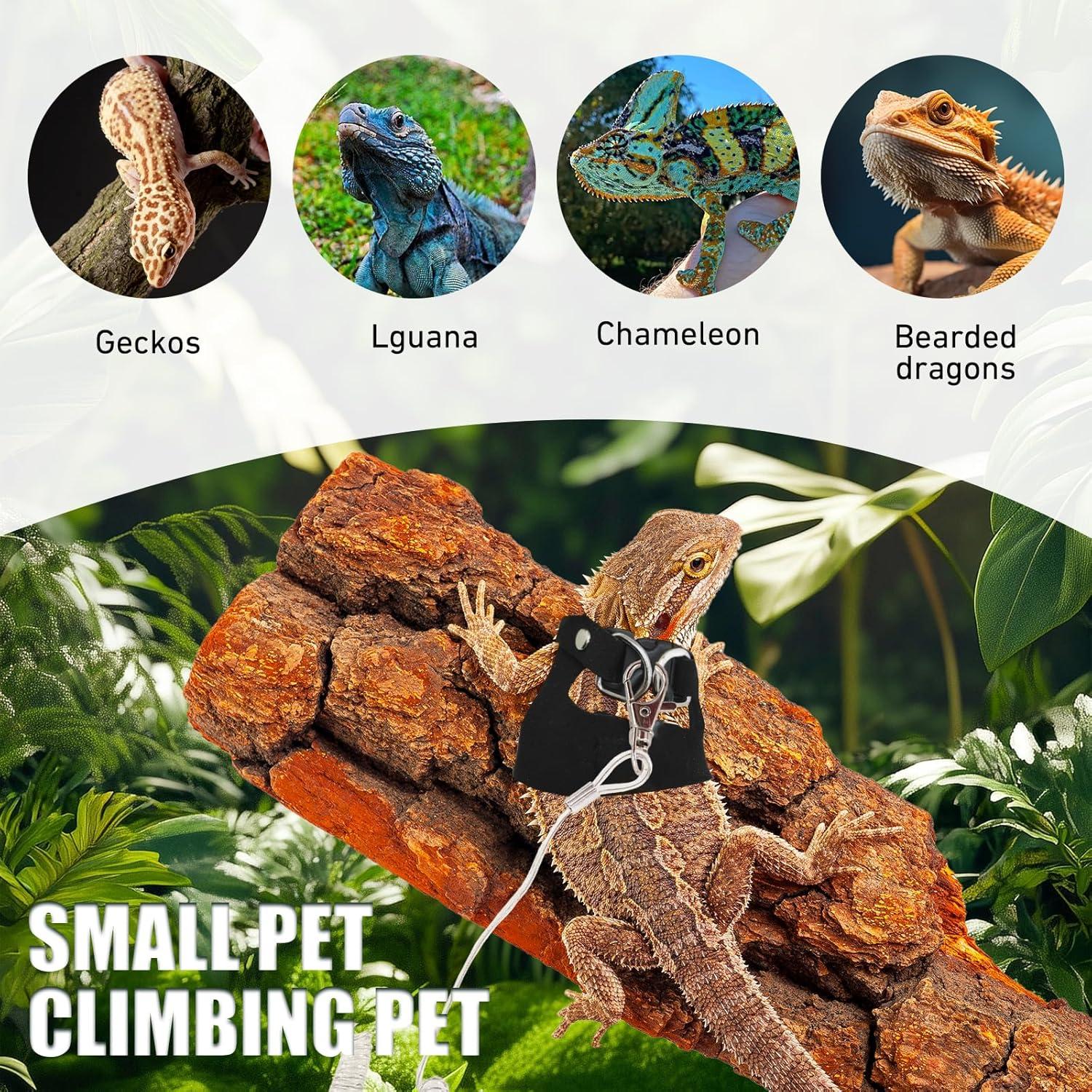 Conjunto Correa y Arnés Dragón Barbudo KURTOPLLY 3 Tamaños