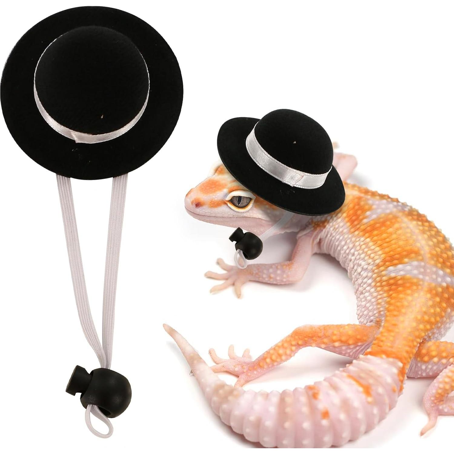 Conjunto Correa y Arnés Dragón Barbudo KURTOPLLY 3 Tamaños