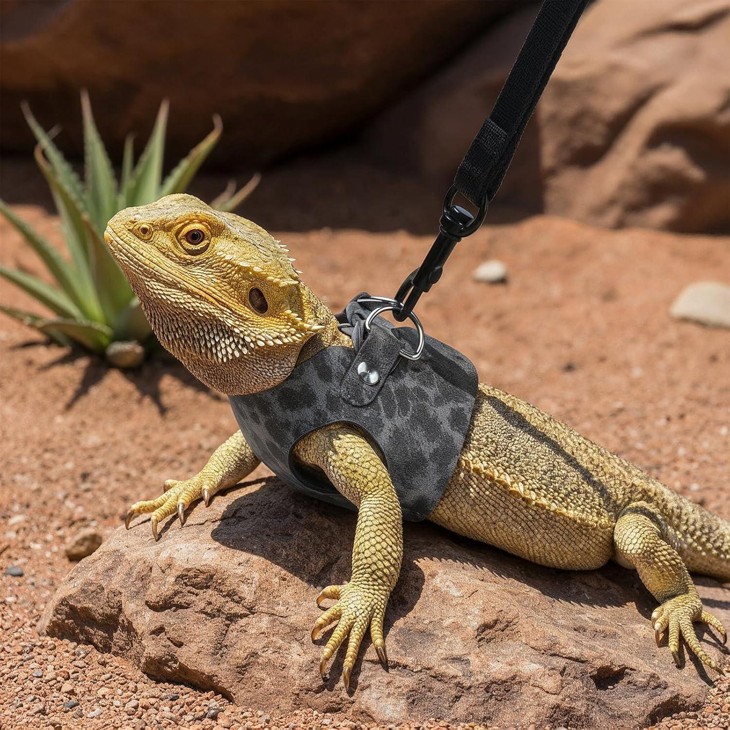 Juego de Arnés y Correa Classicseali para Dragón Barbudo - 3 Tamaños