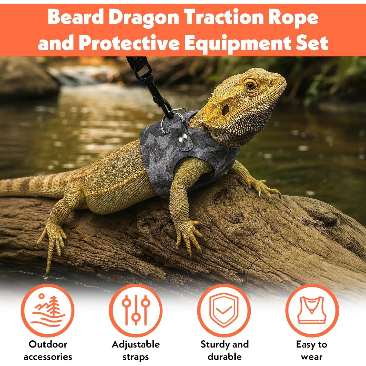 Juego de Arnés y Correa Classicseali para Dragón Barbudo - 3 Tamaños