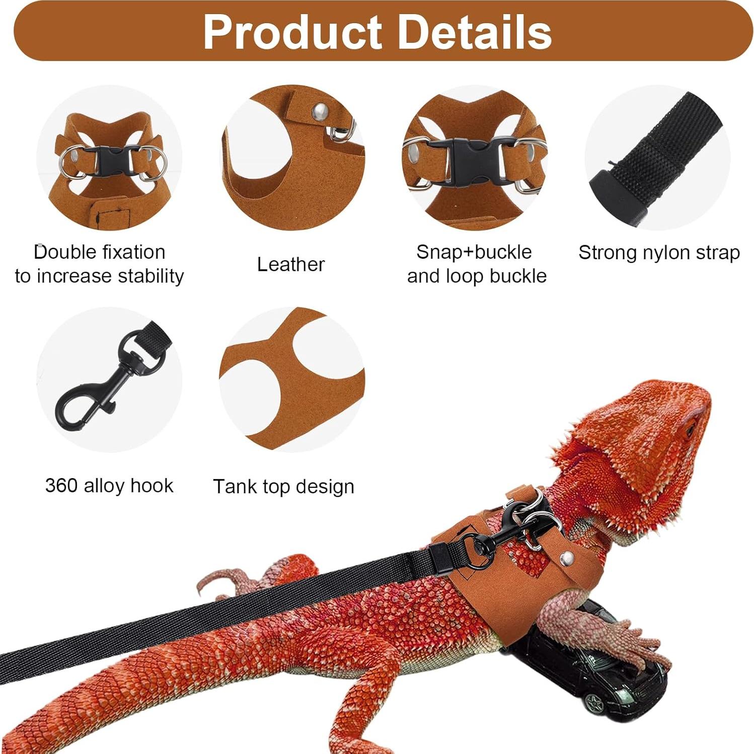 Juego de Arnés y Correa para Dragón Barbudo Elegaperma - 3 Tamaños