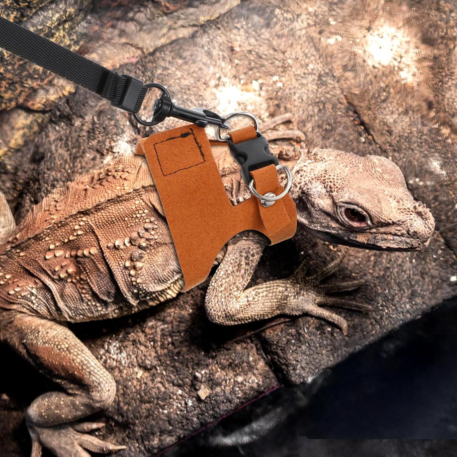 Juego de Arnés y Correa para Dragón Barbudo Elegaperma - 3 Tamaños