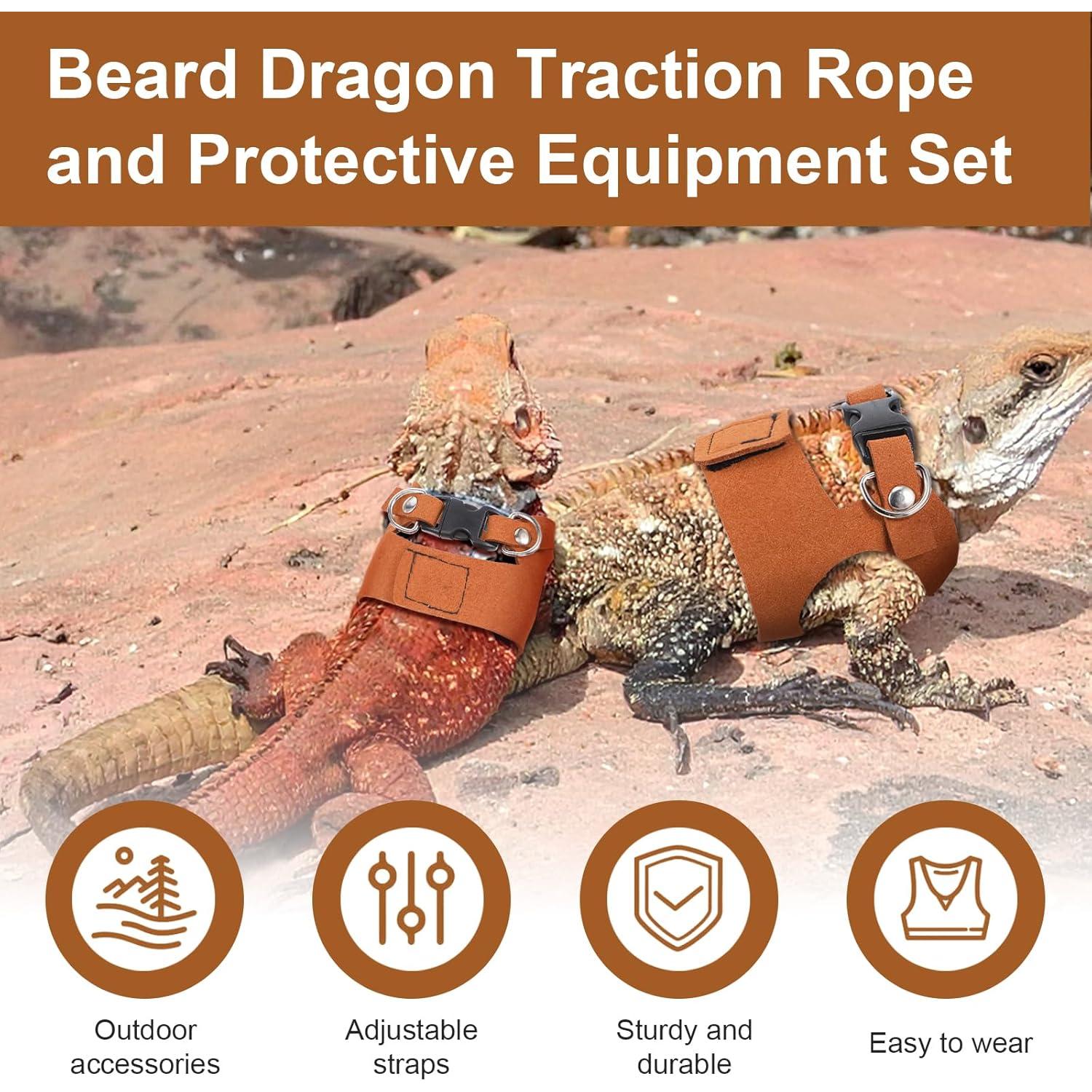 Juego de Arnés y Correa para Dragón Barbudo Elegaperma - 3 Tamaños