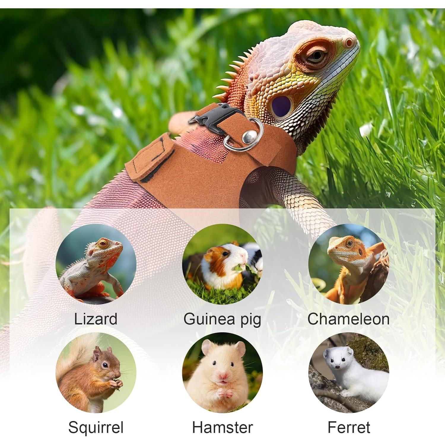 Juego de Arnés y Correa para Dragón Barbudo Elegaperma - 3 Tamaños