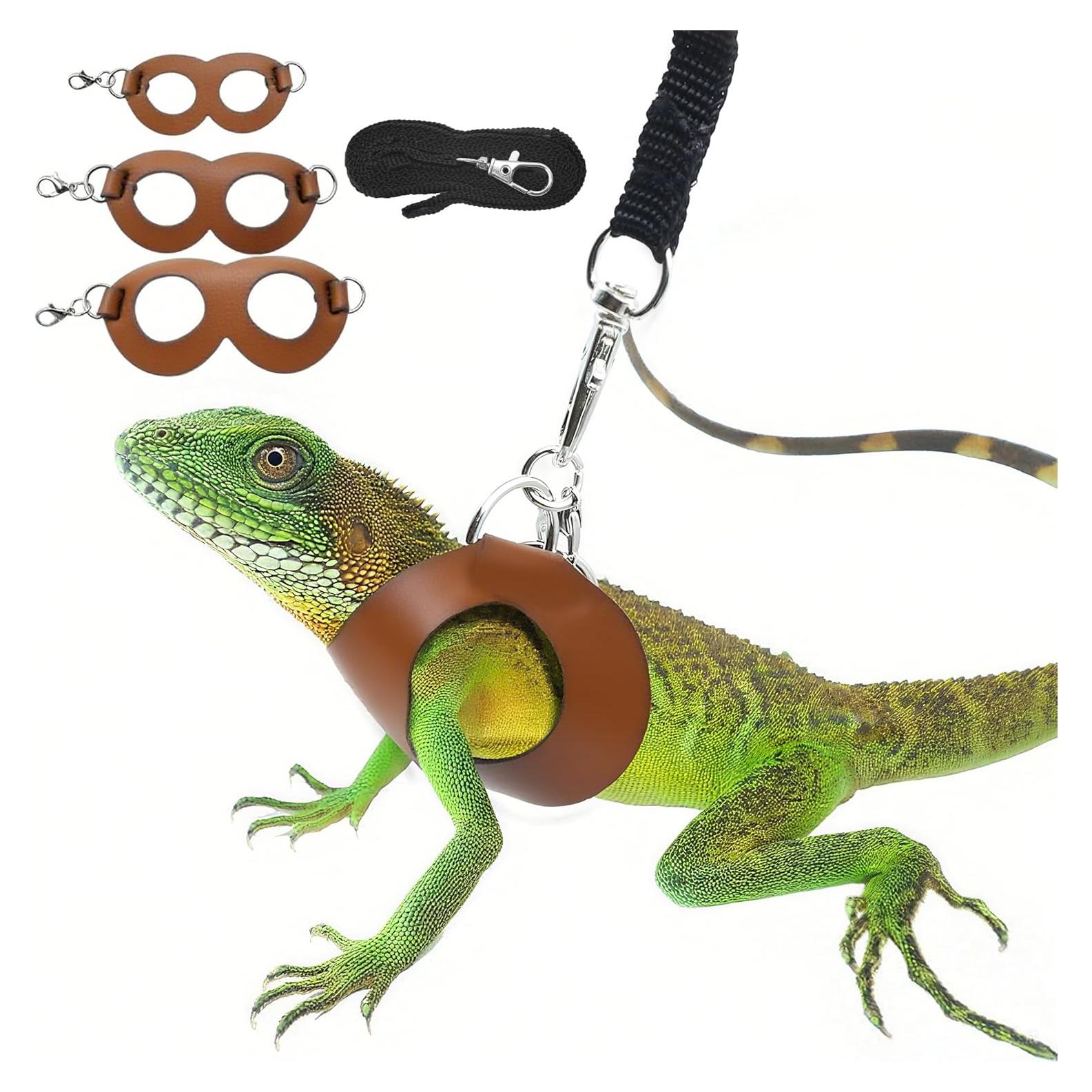 Arnés y Correa Ajustable para Dragón Barbudo Aeloer - Cuero Suave