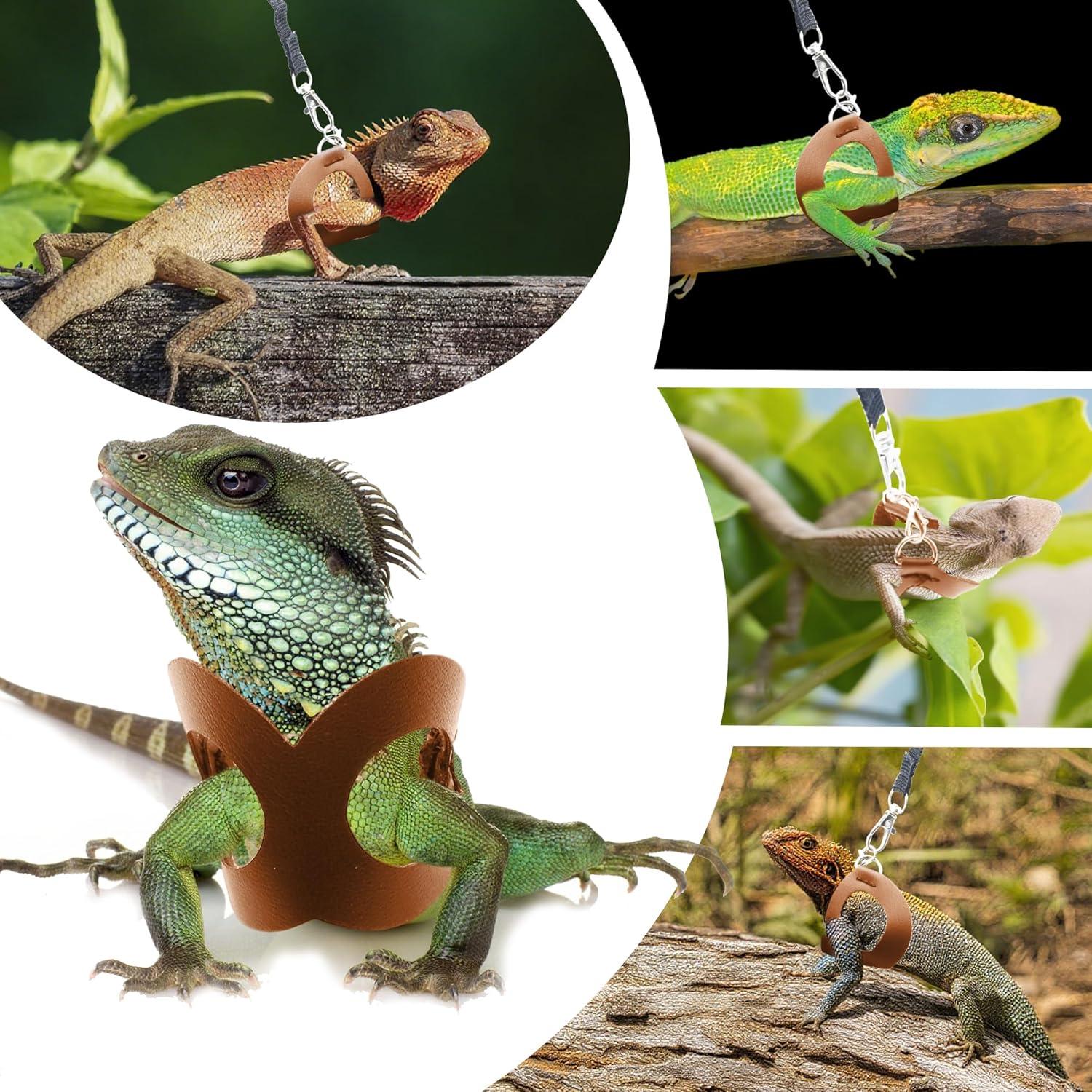 Arnés y Correa Ajustable para Dragón Barbudo Aeloer - Cuero Suave